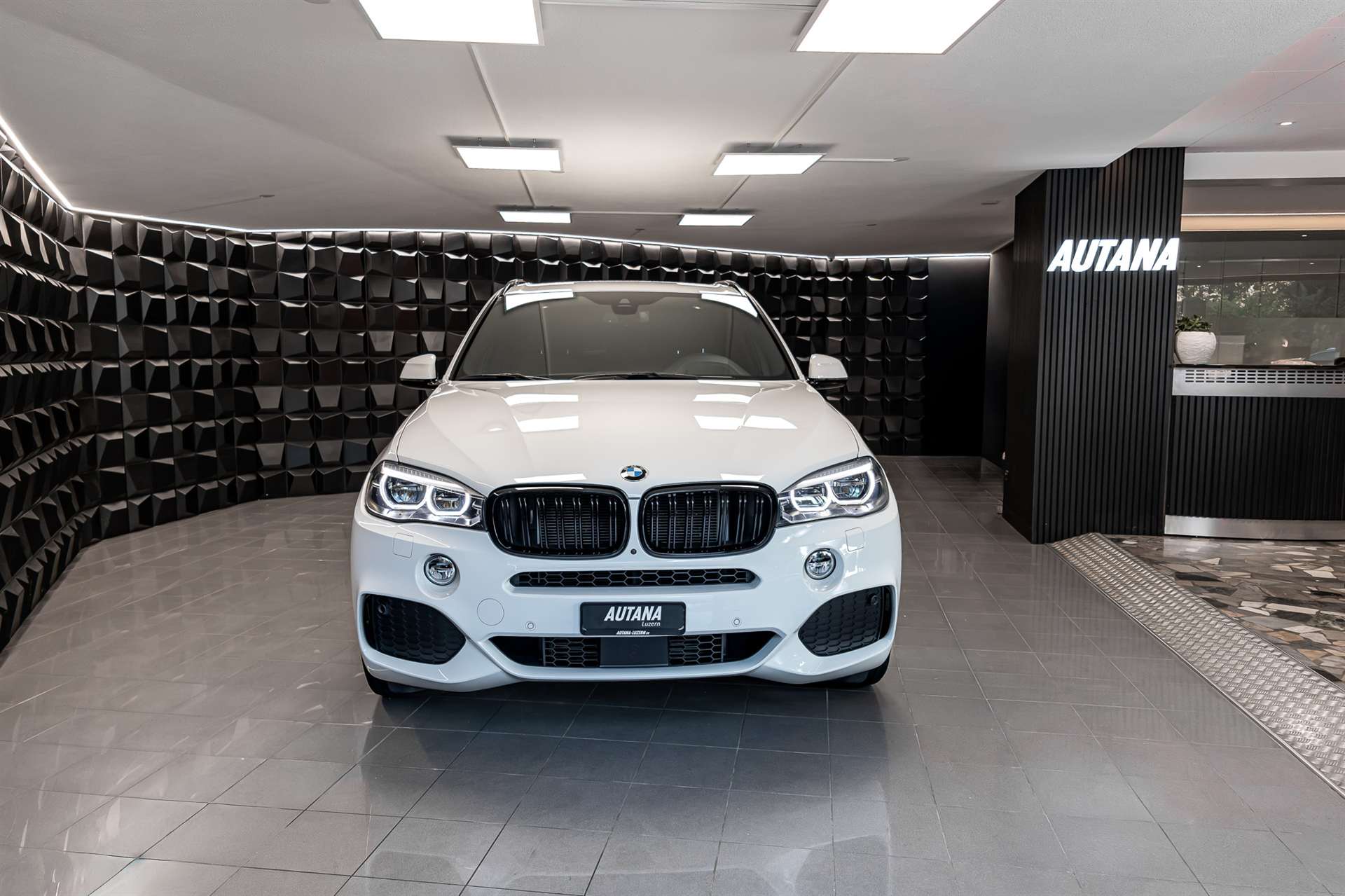 BMW X5 xDrive 30d M Sport Steptronic-showroom-element-3