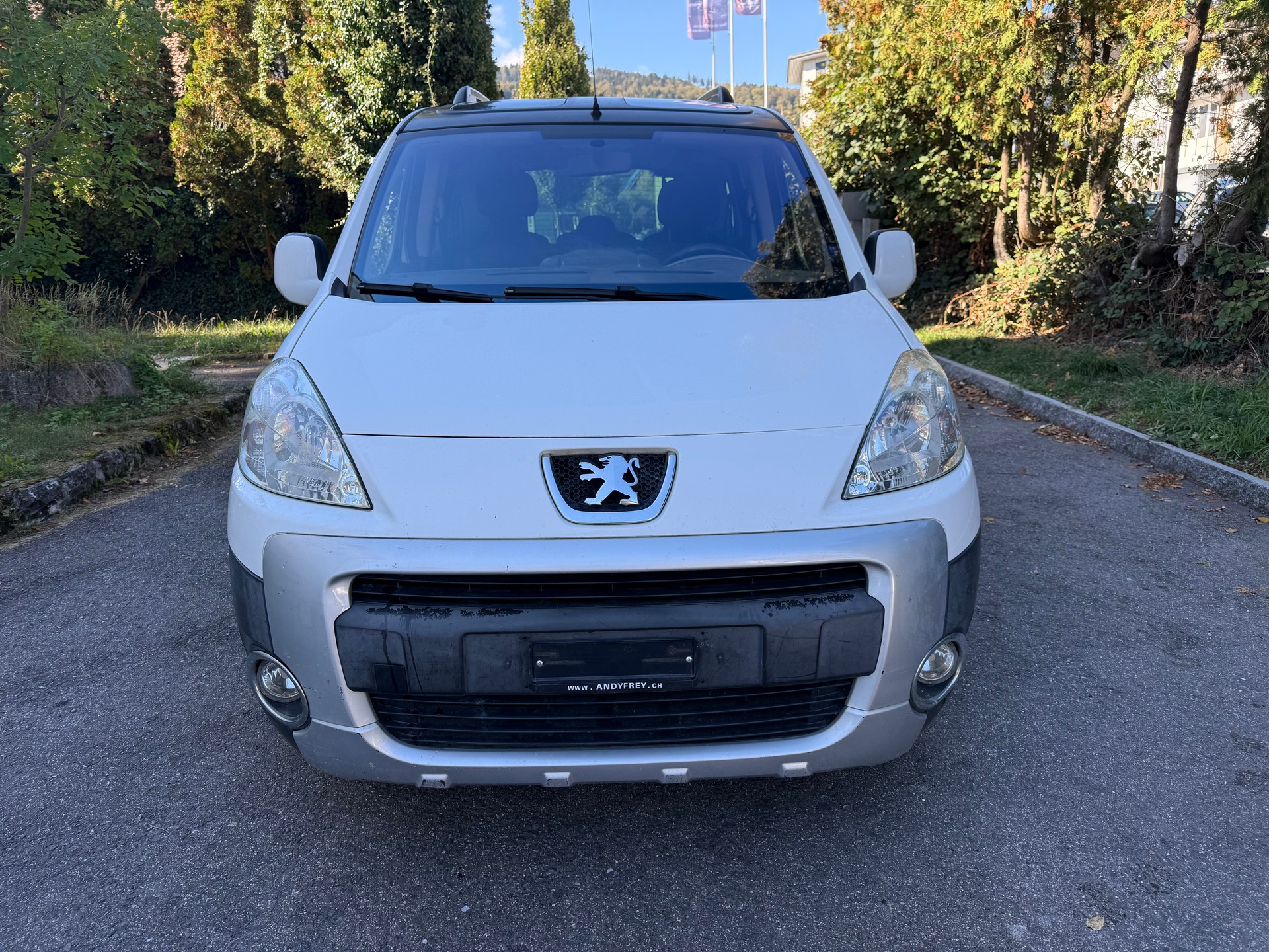 PEUGEOT PARTNER-image-1
