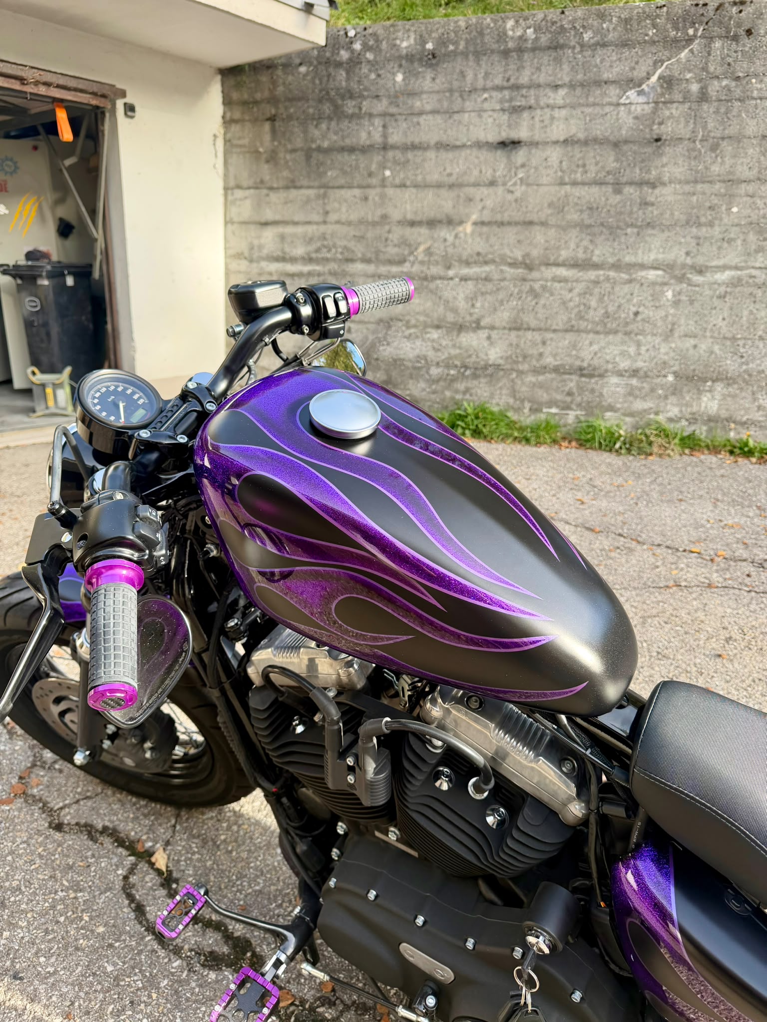 HARLEY-DAVIDSON XL 1200 X Forty Eight-image-3