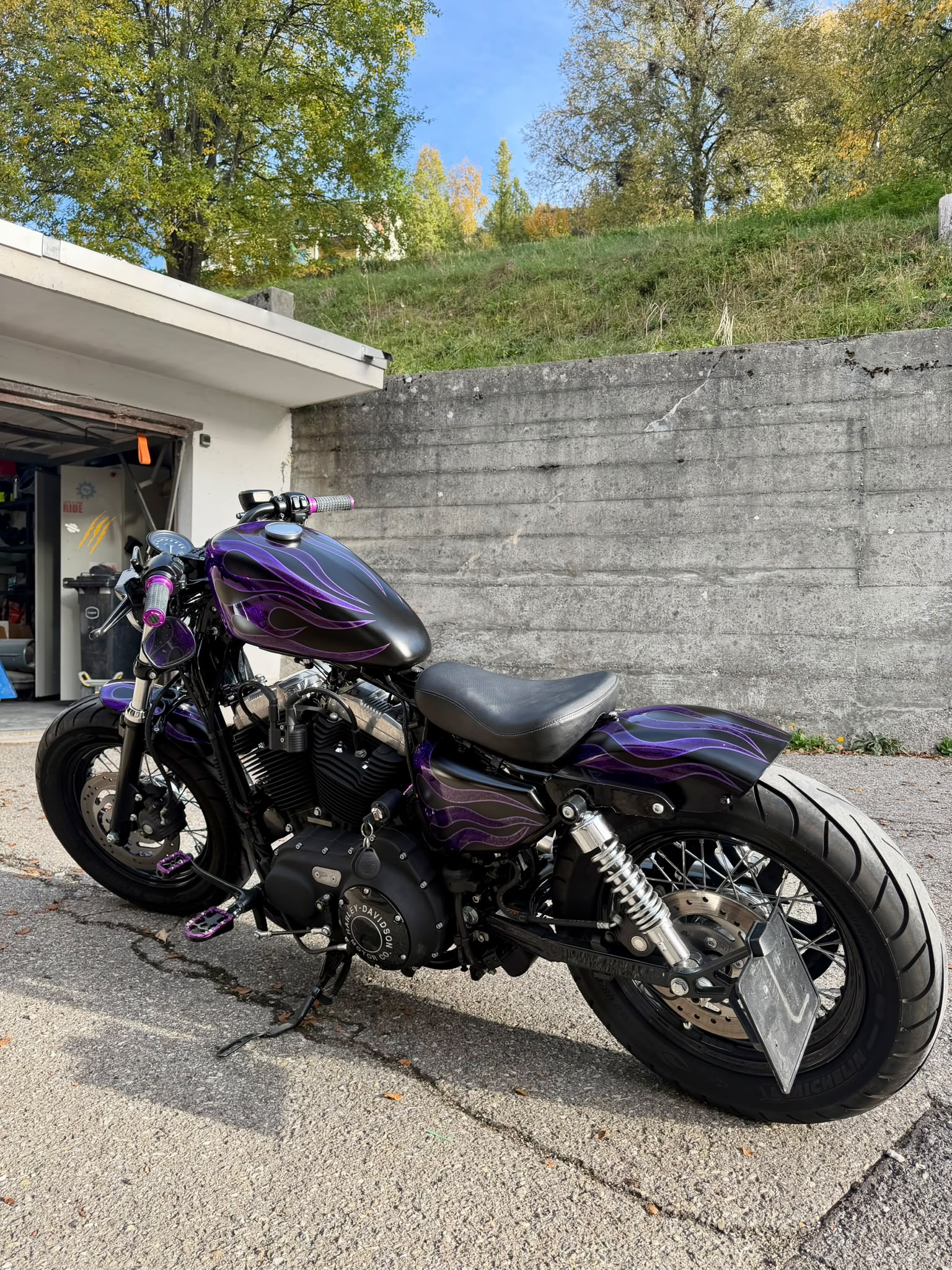 HARLEY-DAVIDSON XL 1200 X Forty Eight-image-2