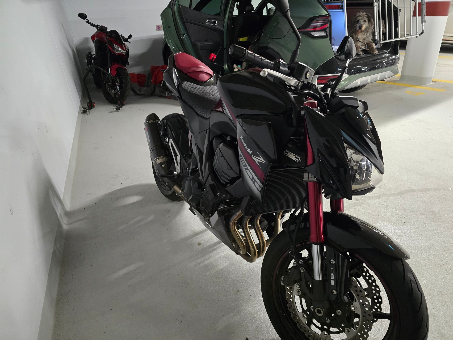 KAWASAKI Z 800 Sugomi ABS-image-2
