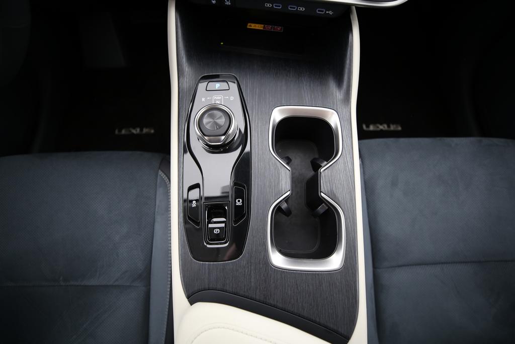 LEXUS RZ 450e Excellence-image-8