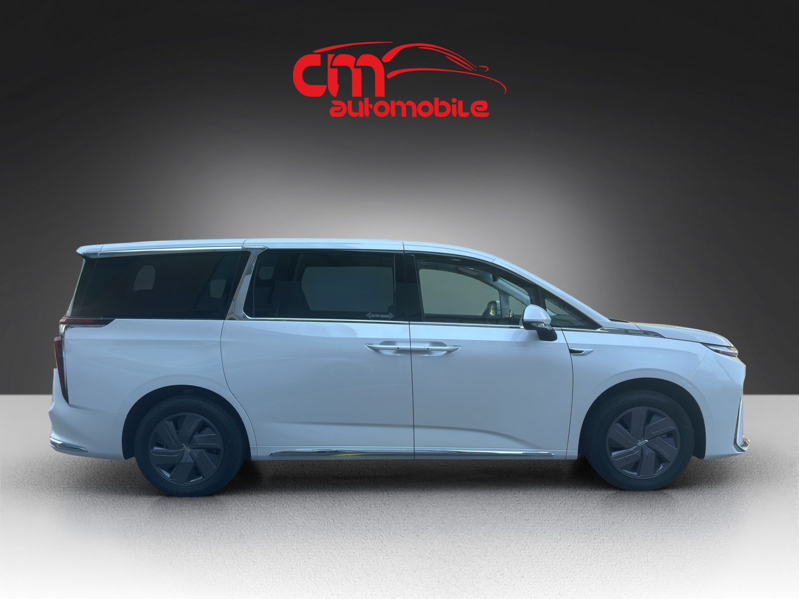 MAXUS Mifa 9 Premium 90kWh-image-4