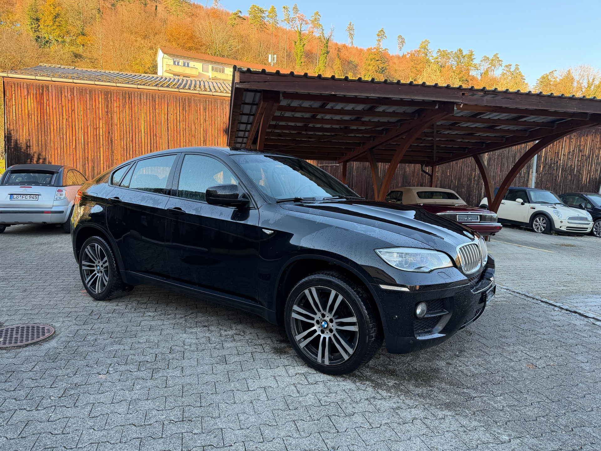 BMW X6 xDrive 40d Steptronic-image-2