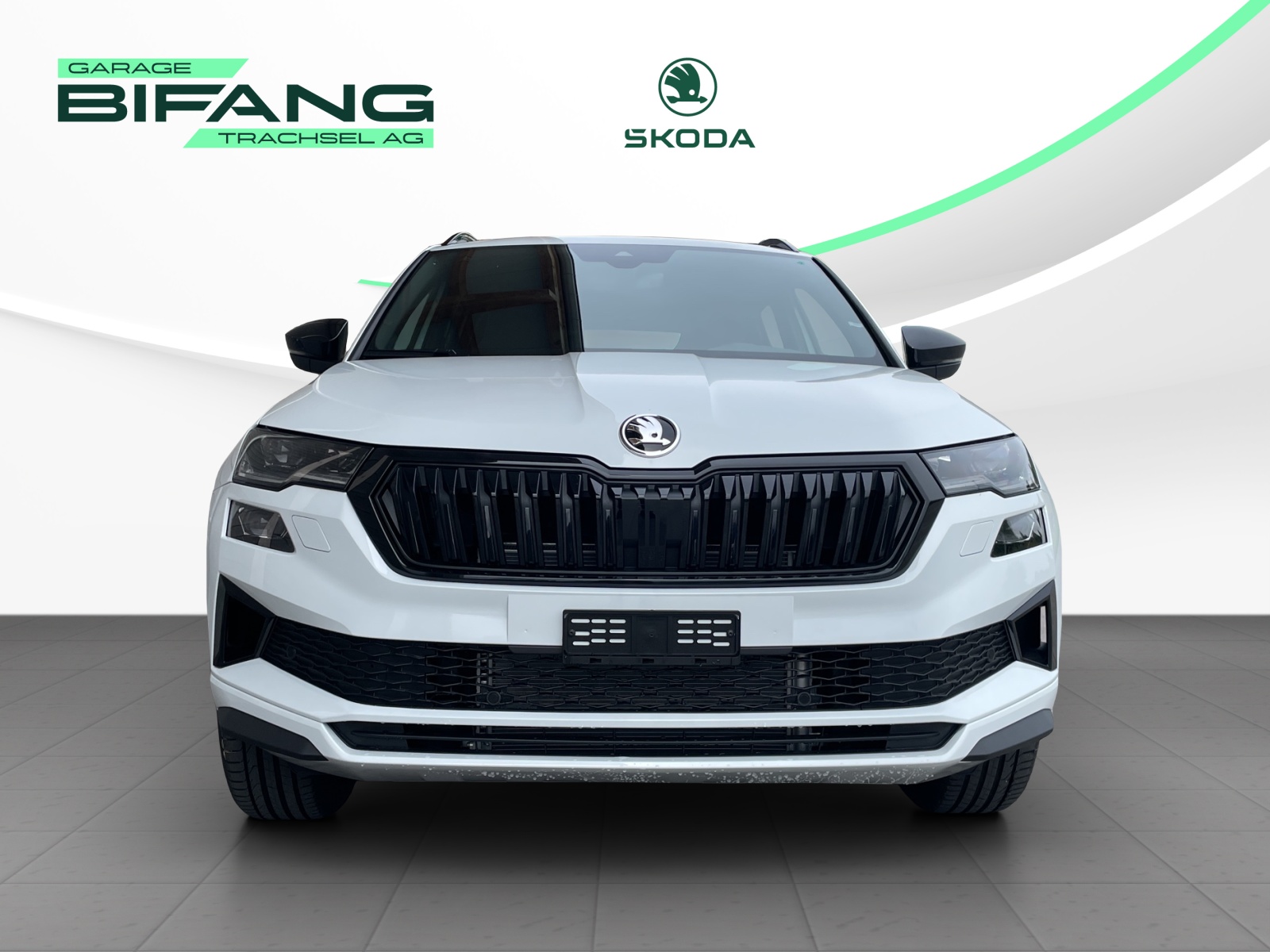 SKODA Karoq 2.0 TSI Dynamic Limited Edition 4x4 DSG-showroom-element-1