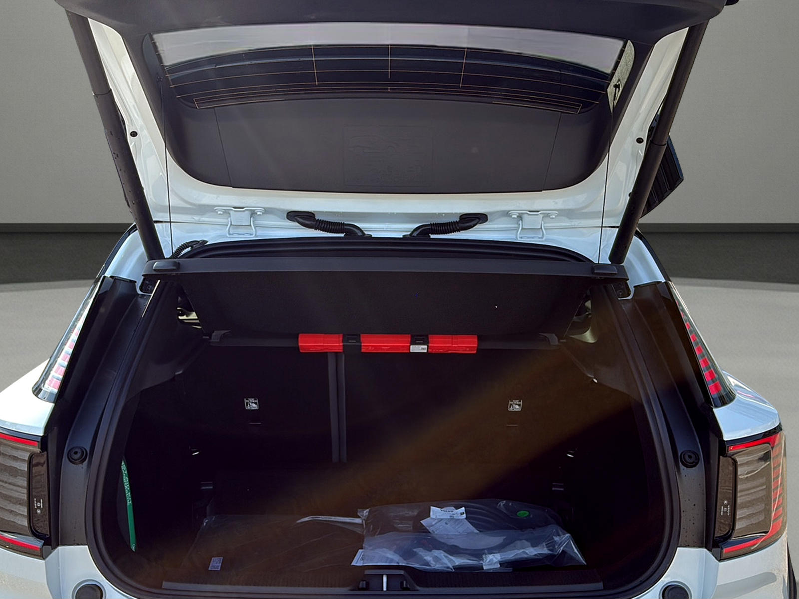 VOLVO EX30 Cross Country P8 69 kWh AWD Ultra-image-9