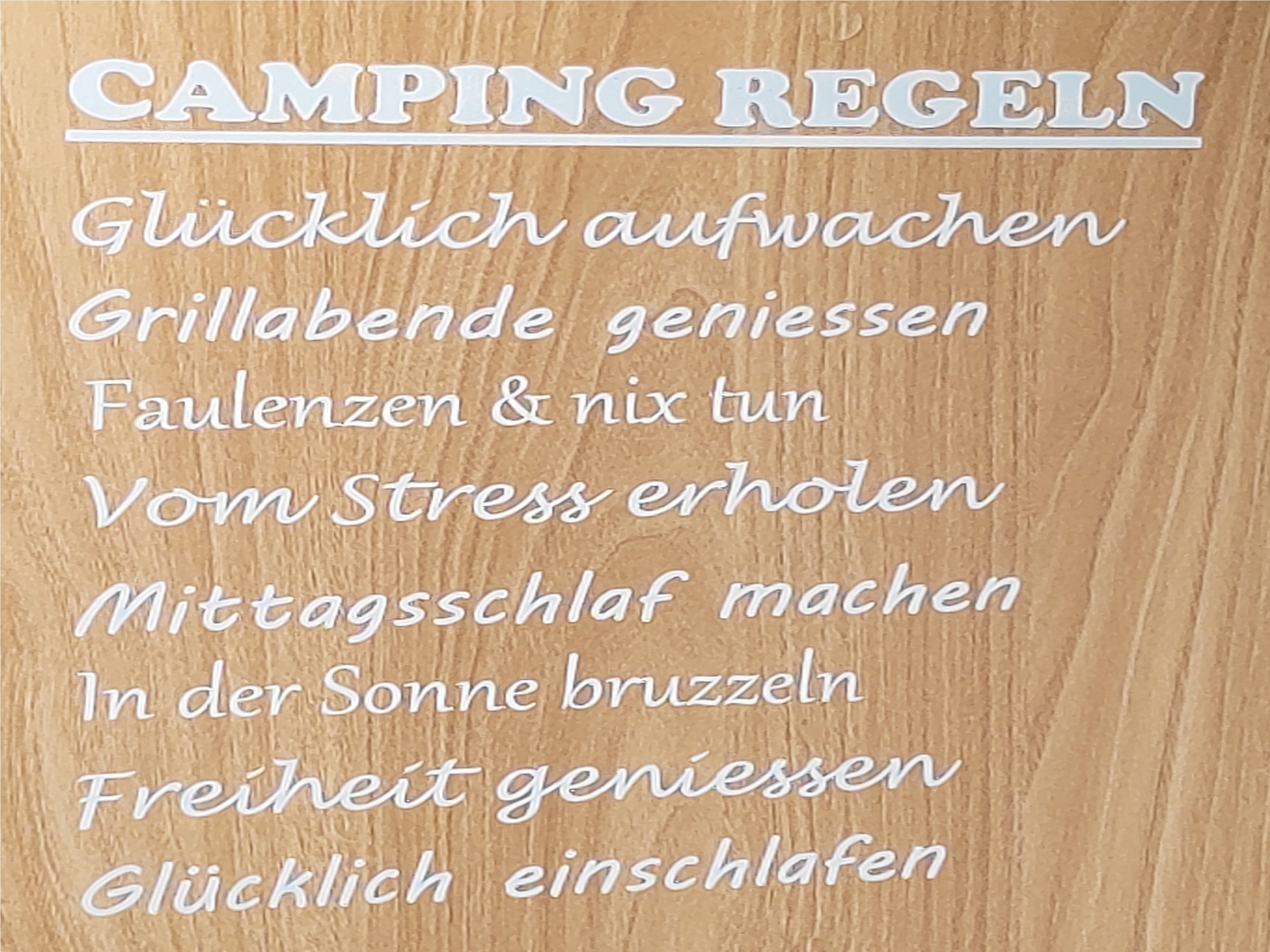 HYMER Grand Canyon S 600 -- Automat -- Neuwertig-image-30