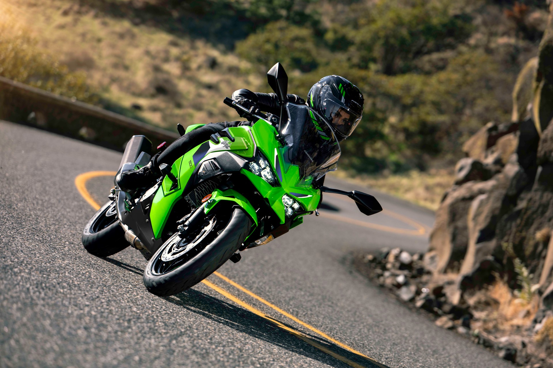 KAWASAKI Ninja 500 Level 1-image-12