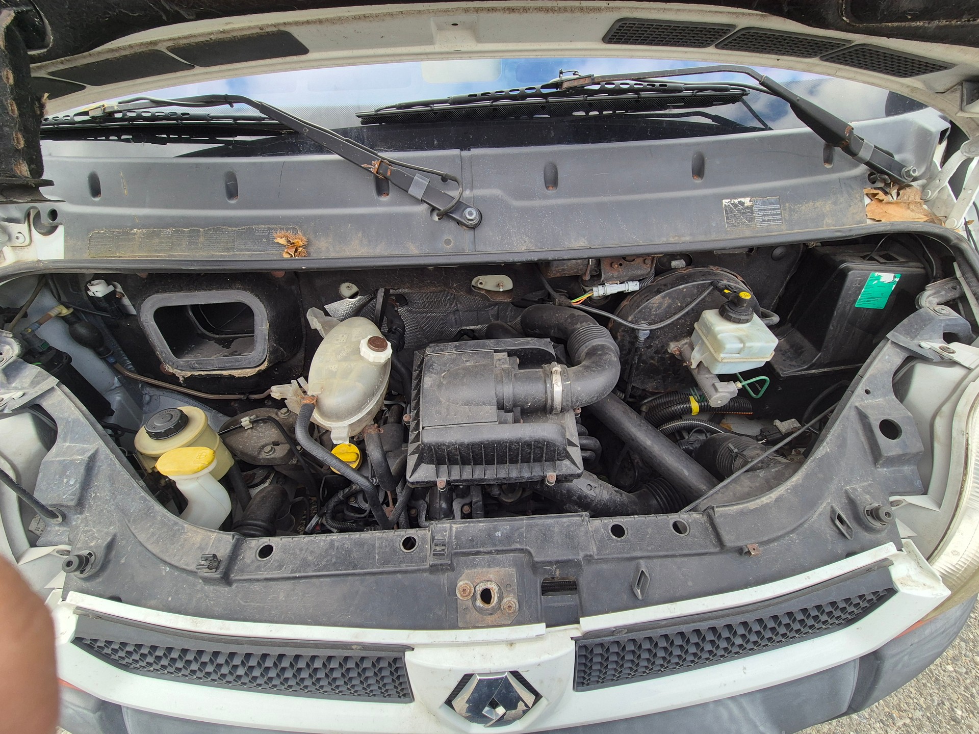 RENAULT Master T35 2.5dCi Busin. BFL33U-image-9