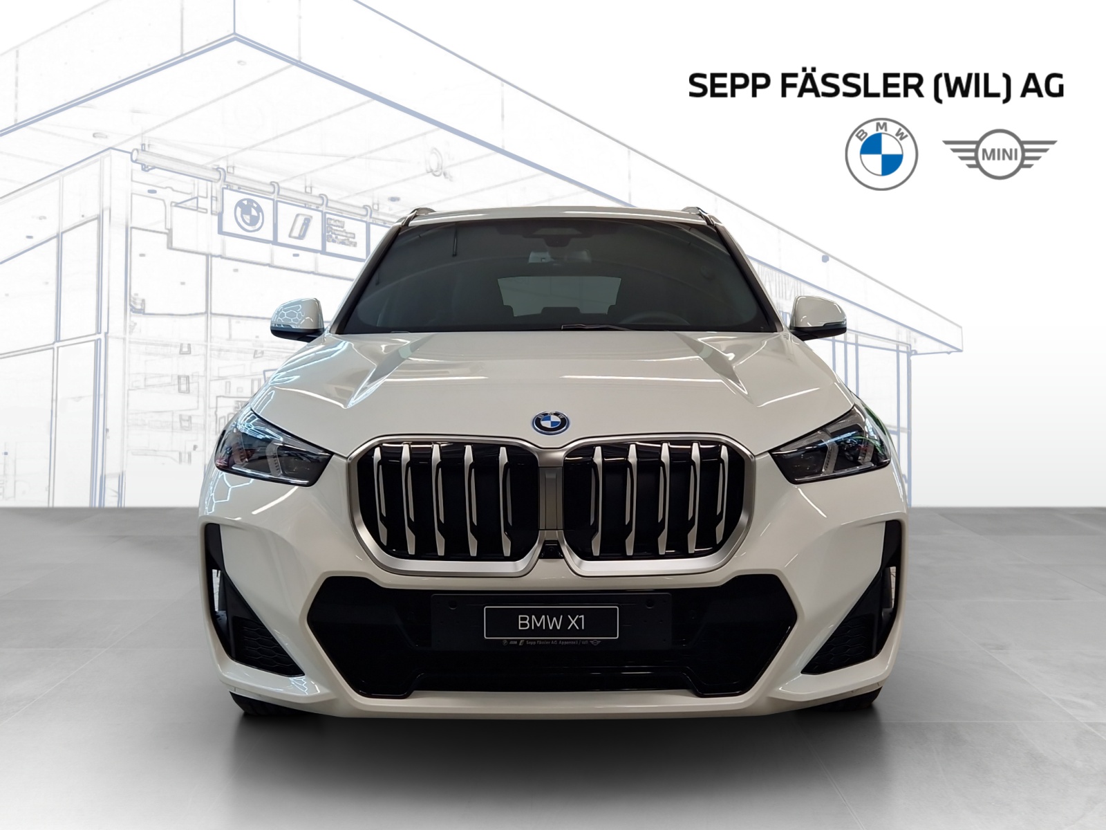 BMW X1 xDrive 30e M Sport-image-24