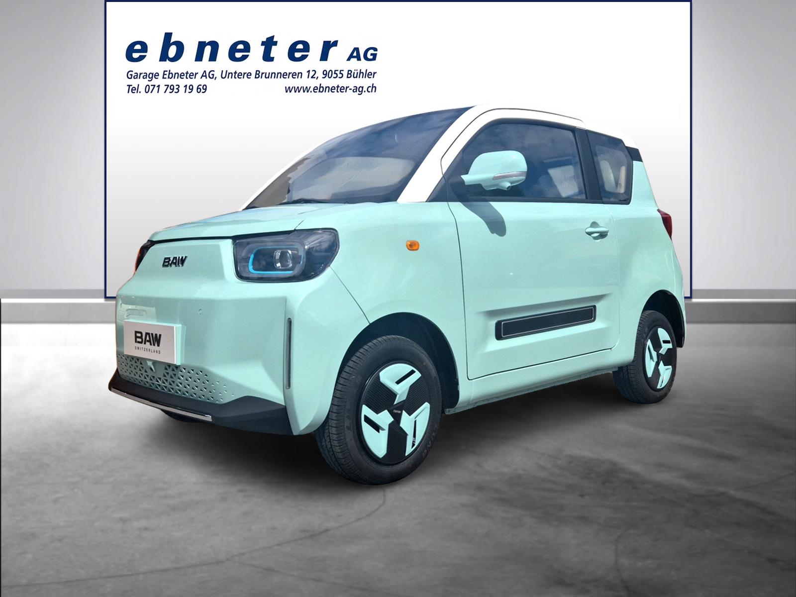 BAW Pony Electric