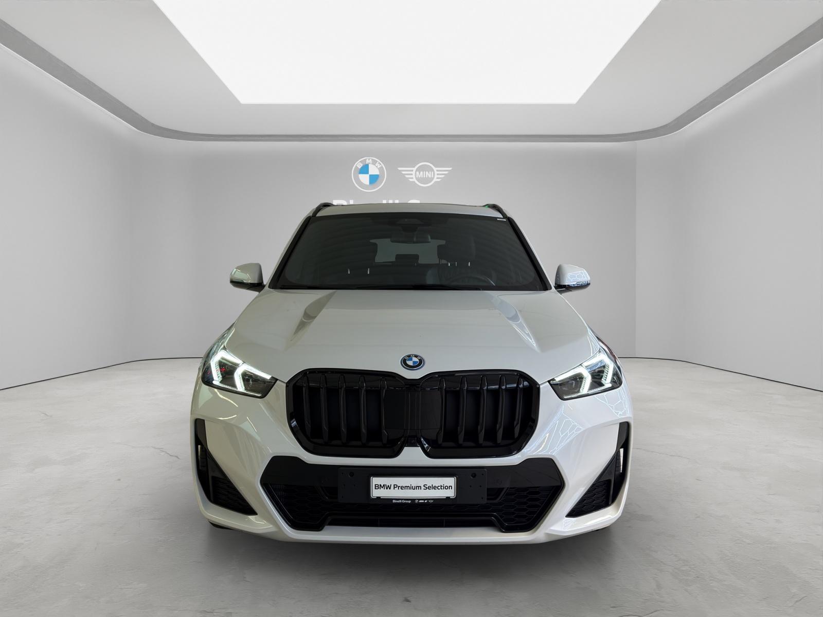 BMW X1 30e xDrive paddles