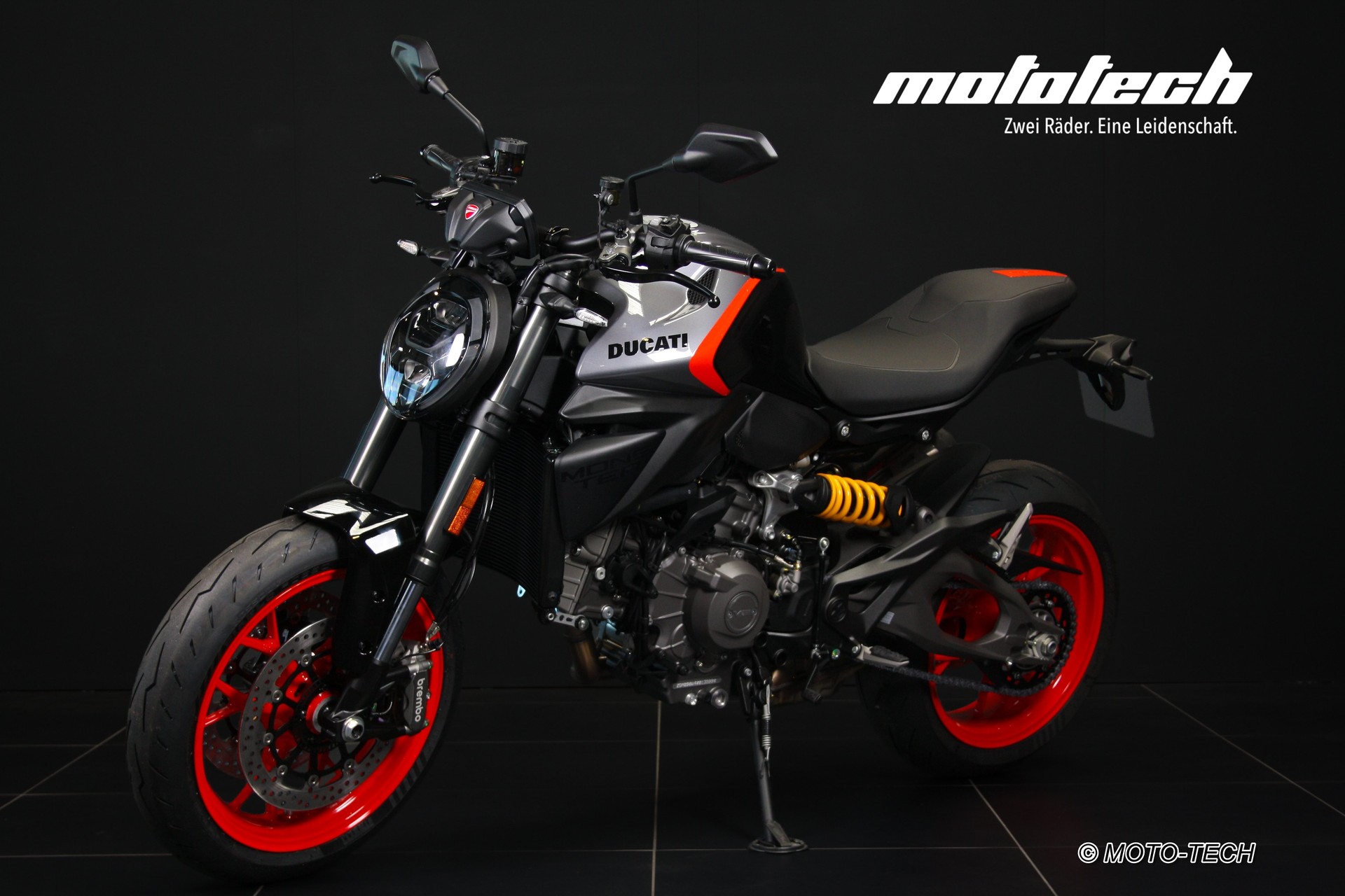 DUCATI Monster 890-image-6