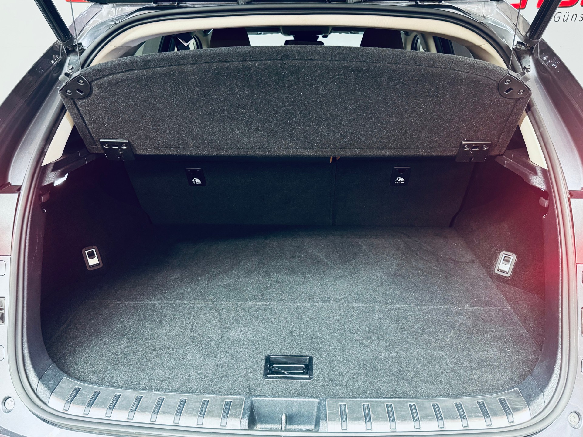 LEXUS NX 300h Excellence E-Four Automatic-image-12