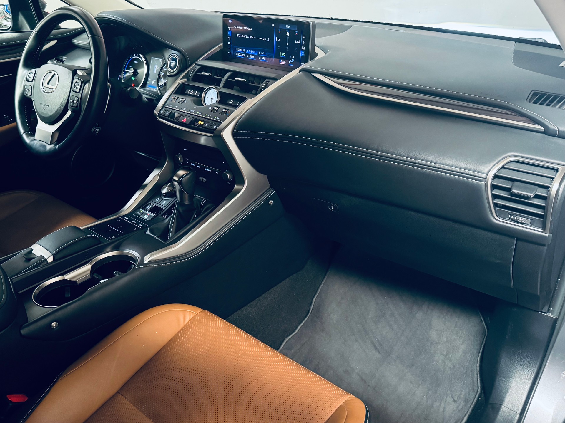 LEXUS NX 300h Excellence E-Four Automatic-image-16