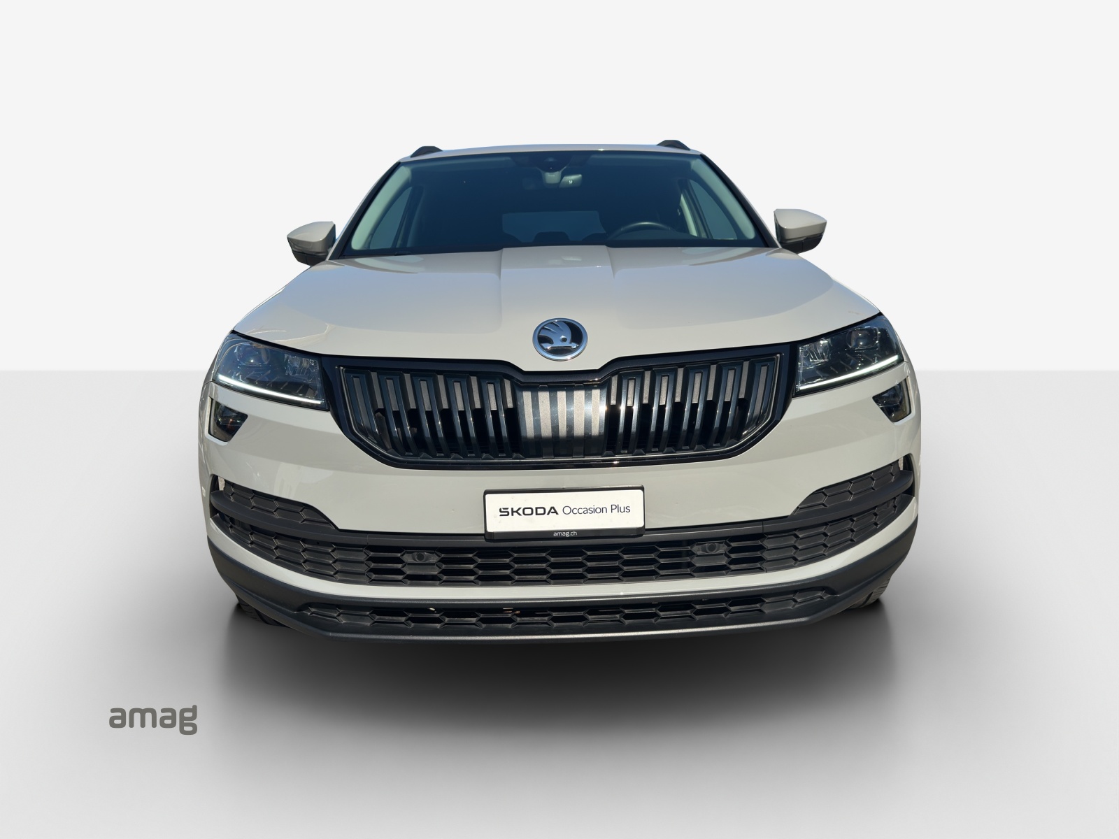 SKODA Karoq 1.5 TSI ACT Ambition DSG-showroom-element-1