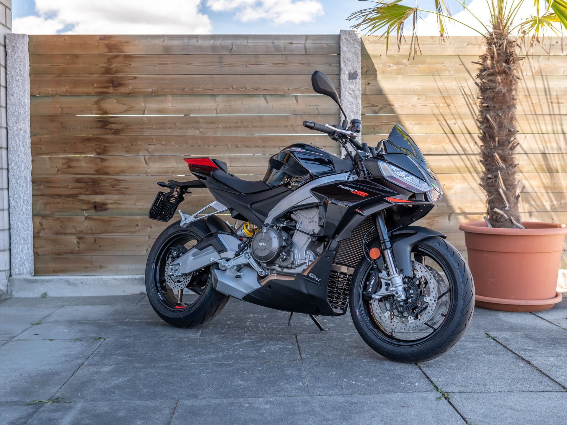 APRILIA Tuono 660 Factory-image-1