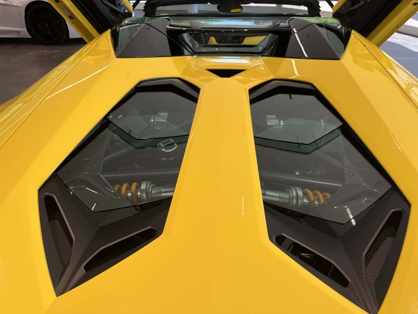 LAMBORGHINI Aventador Roadster 6.5 LP720 50° Anniversario Rds-image-11