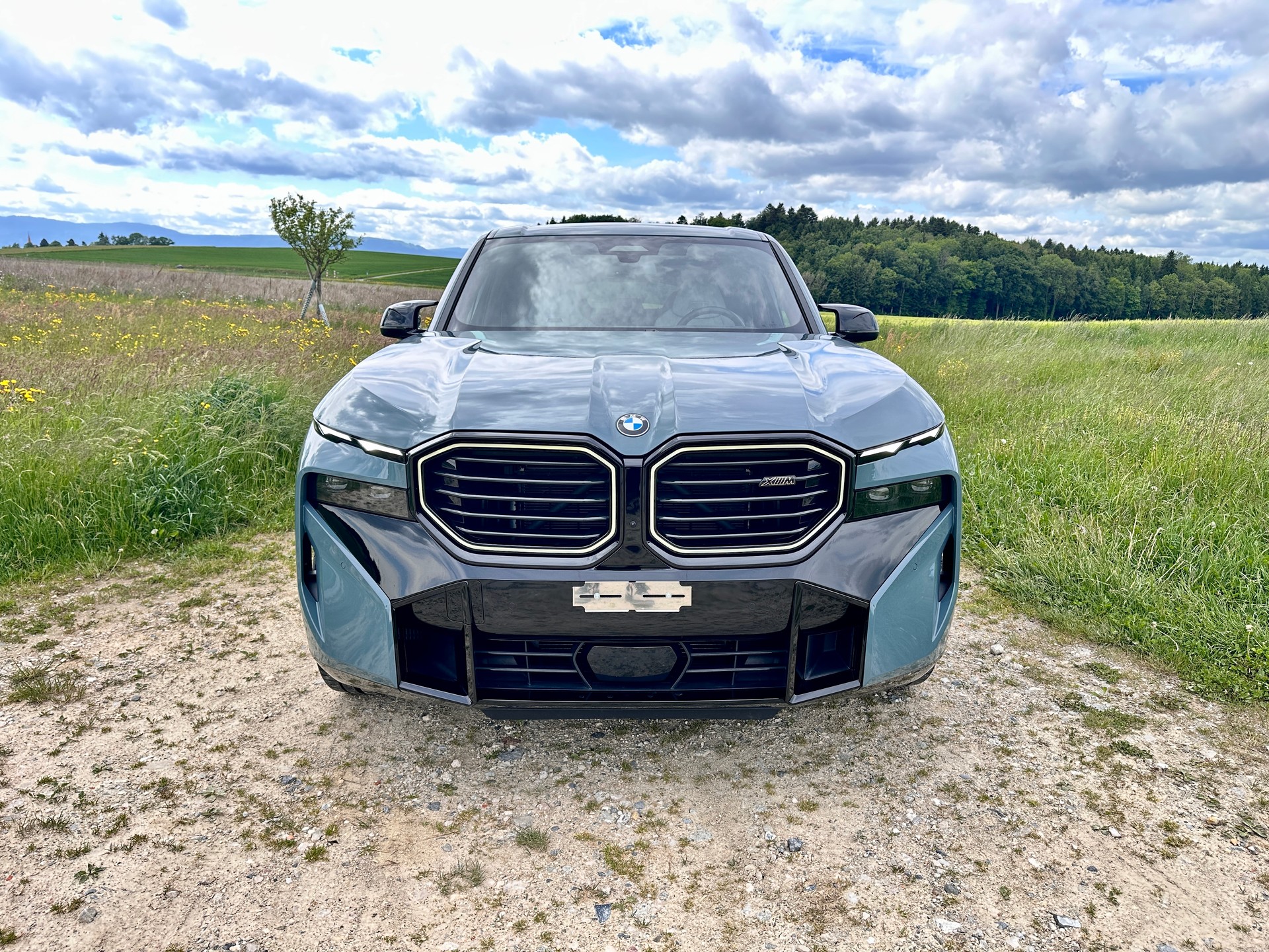 BMW XM xDrive PHEV Steptronic-image-2