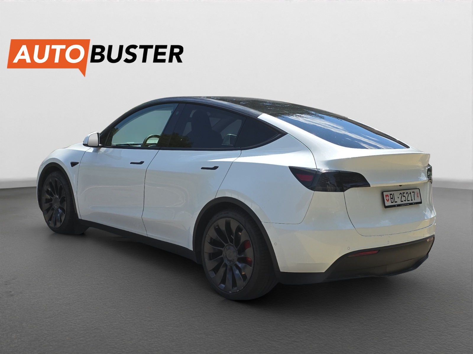 TESLA Model Y Performance 534 PS-showroom-element-2