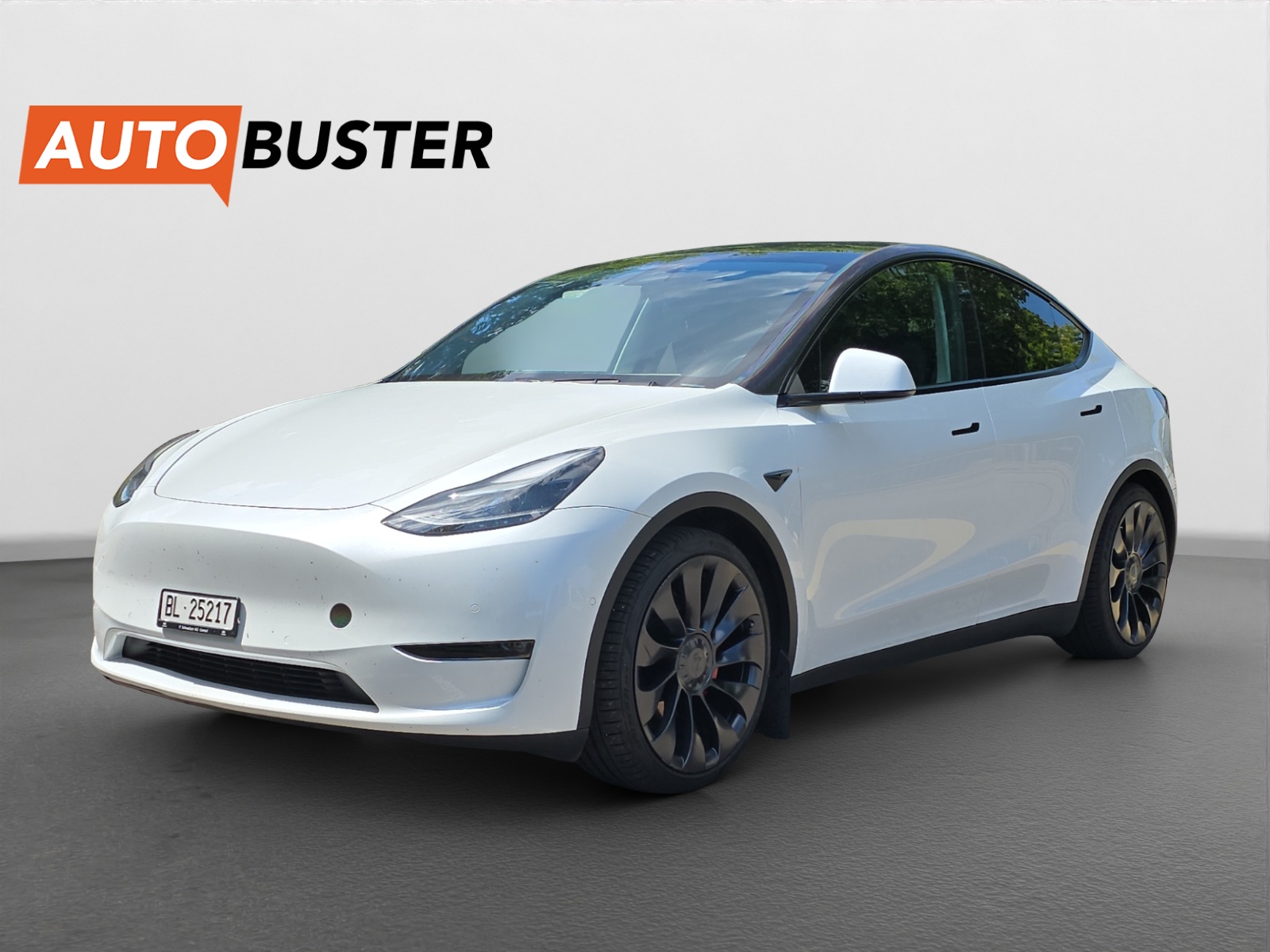 TESLA Model Y Performance 534 PS