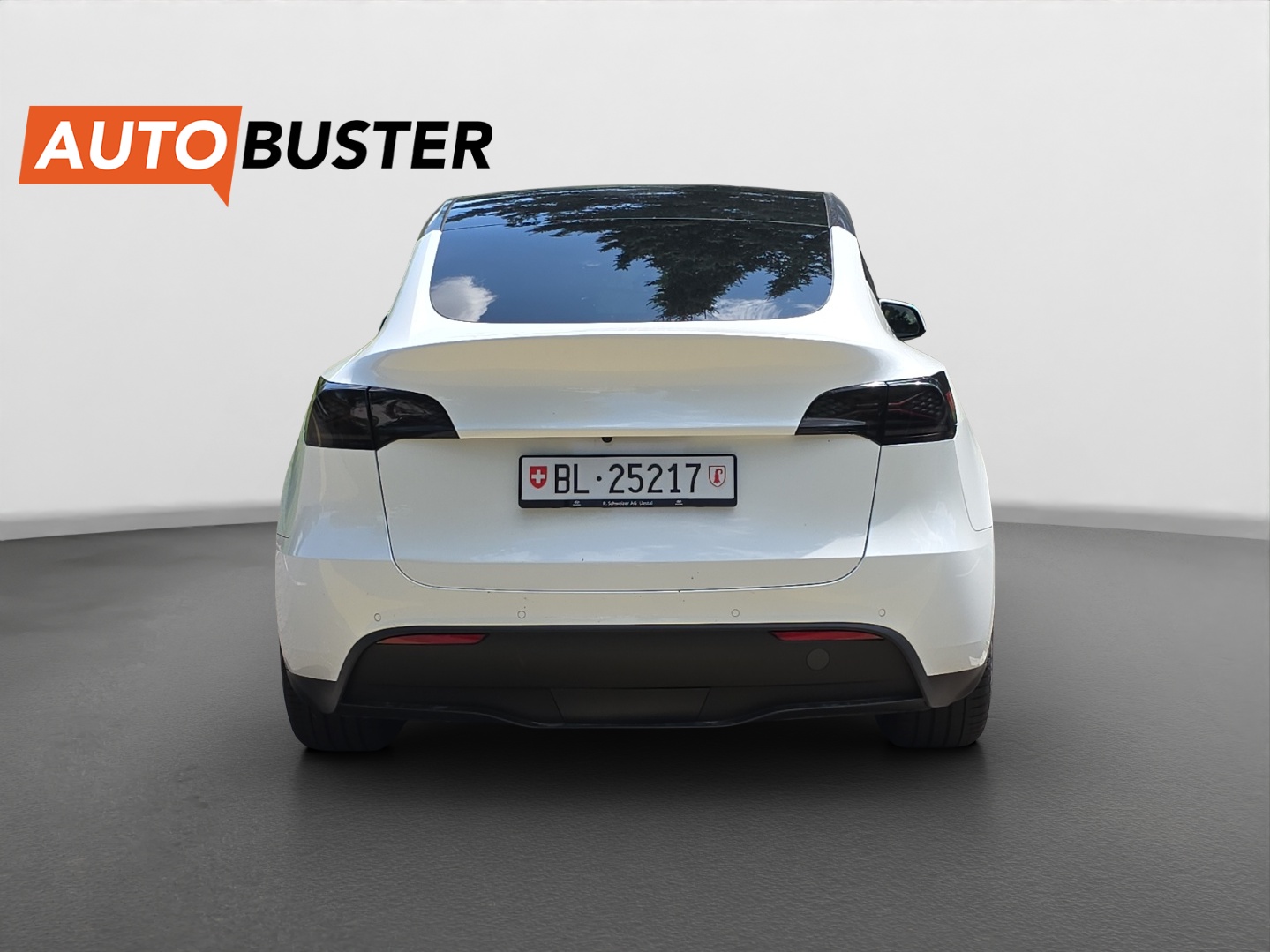 TESLA Model Y Performance 534 PS-showroom-element-3