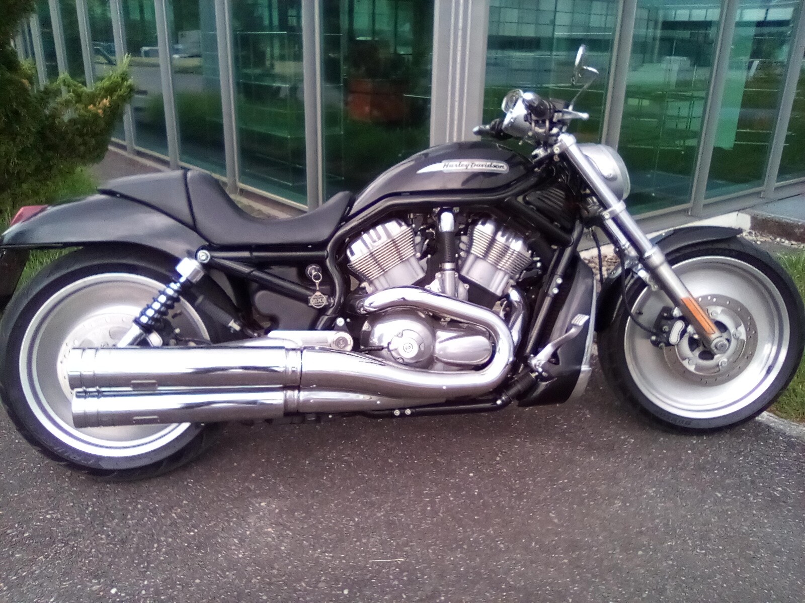HARLEY-DAVIDSON VRSCA V-Rod A-image-8