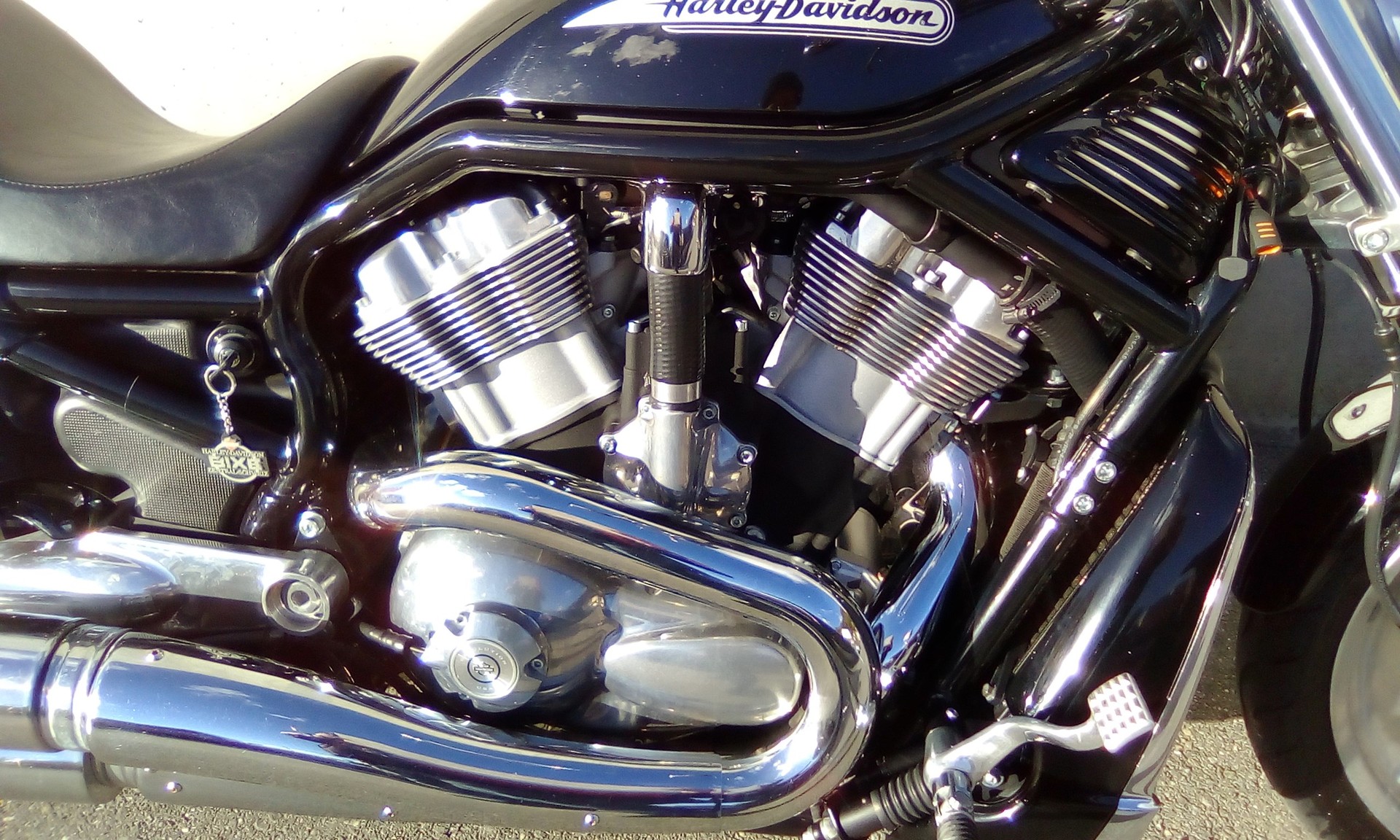 HARLEY-DAVIDSON VRSCA V-Rod A-image-3