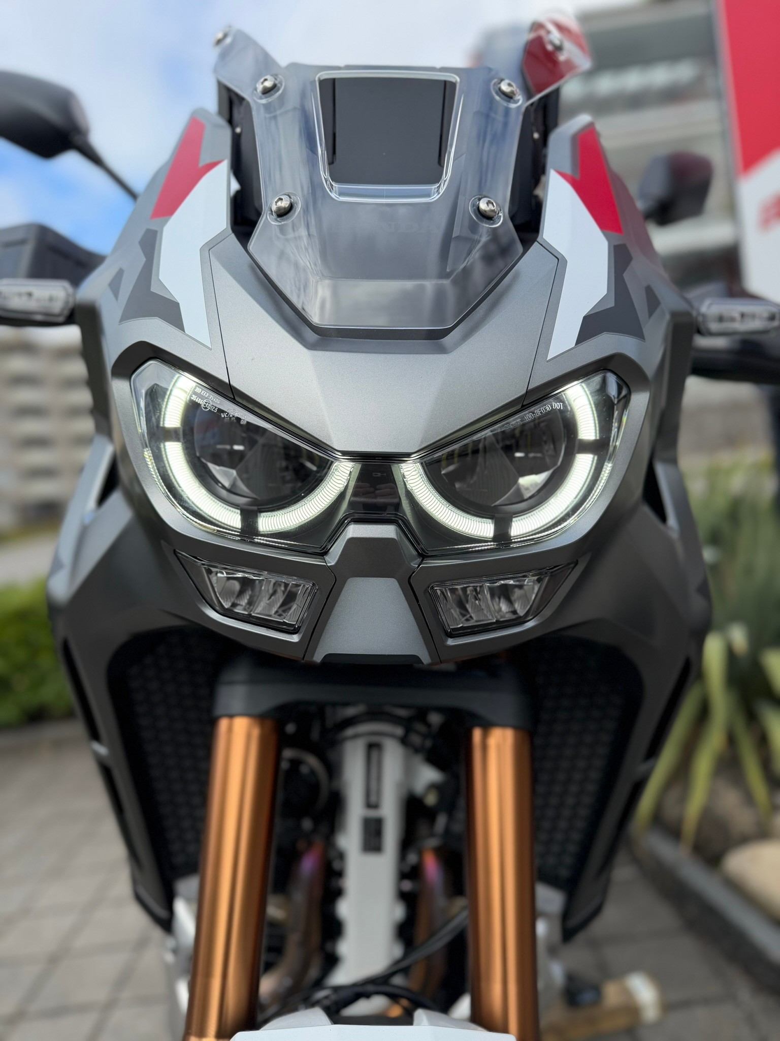 HONDA CRF 1100 Africa Twin Adventure Sports-image-7