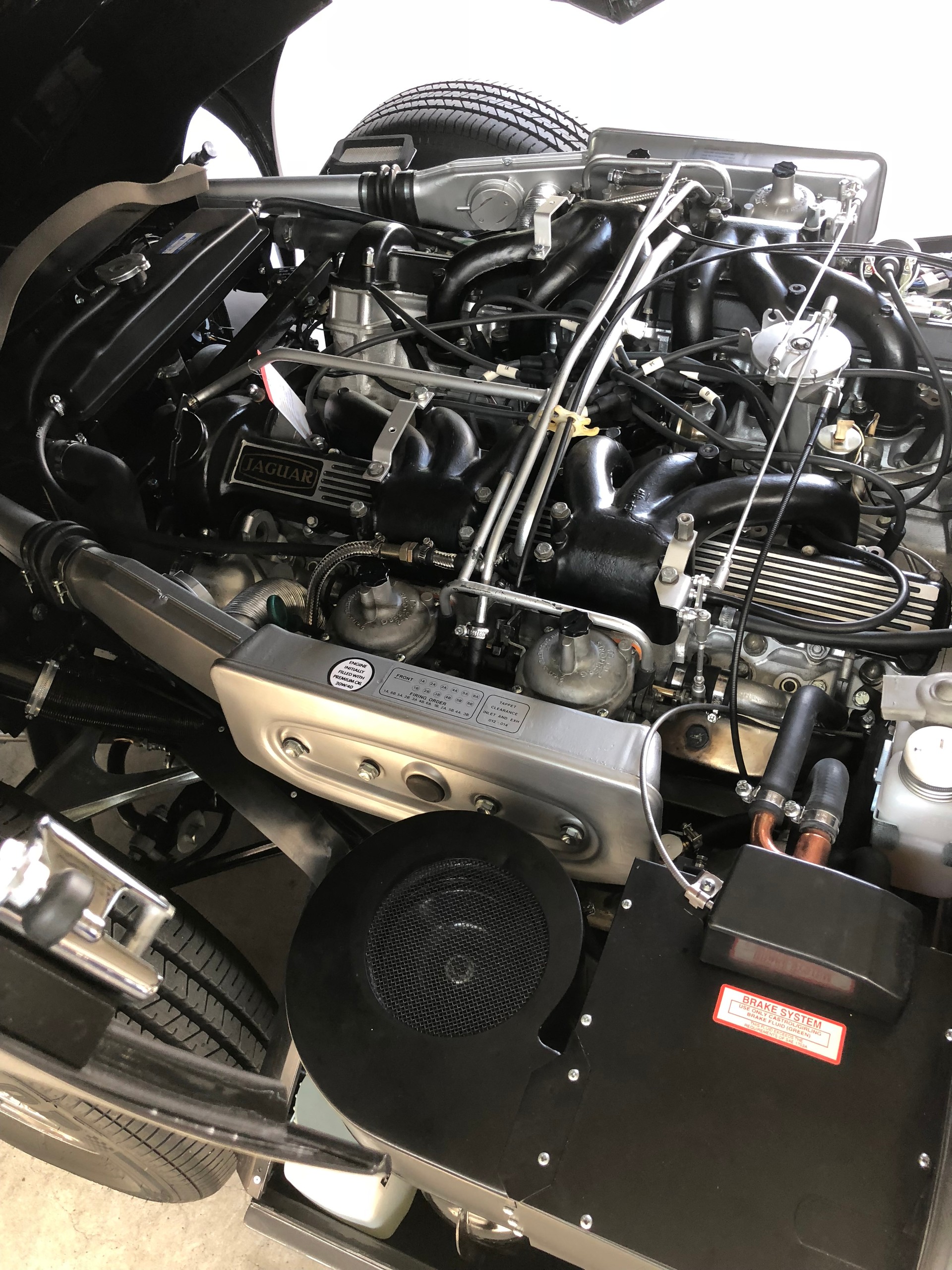 JAGUAR Roadster V12-image-2