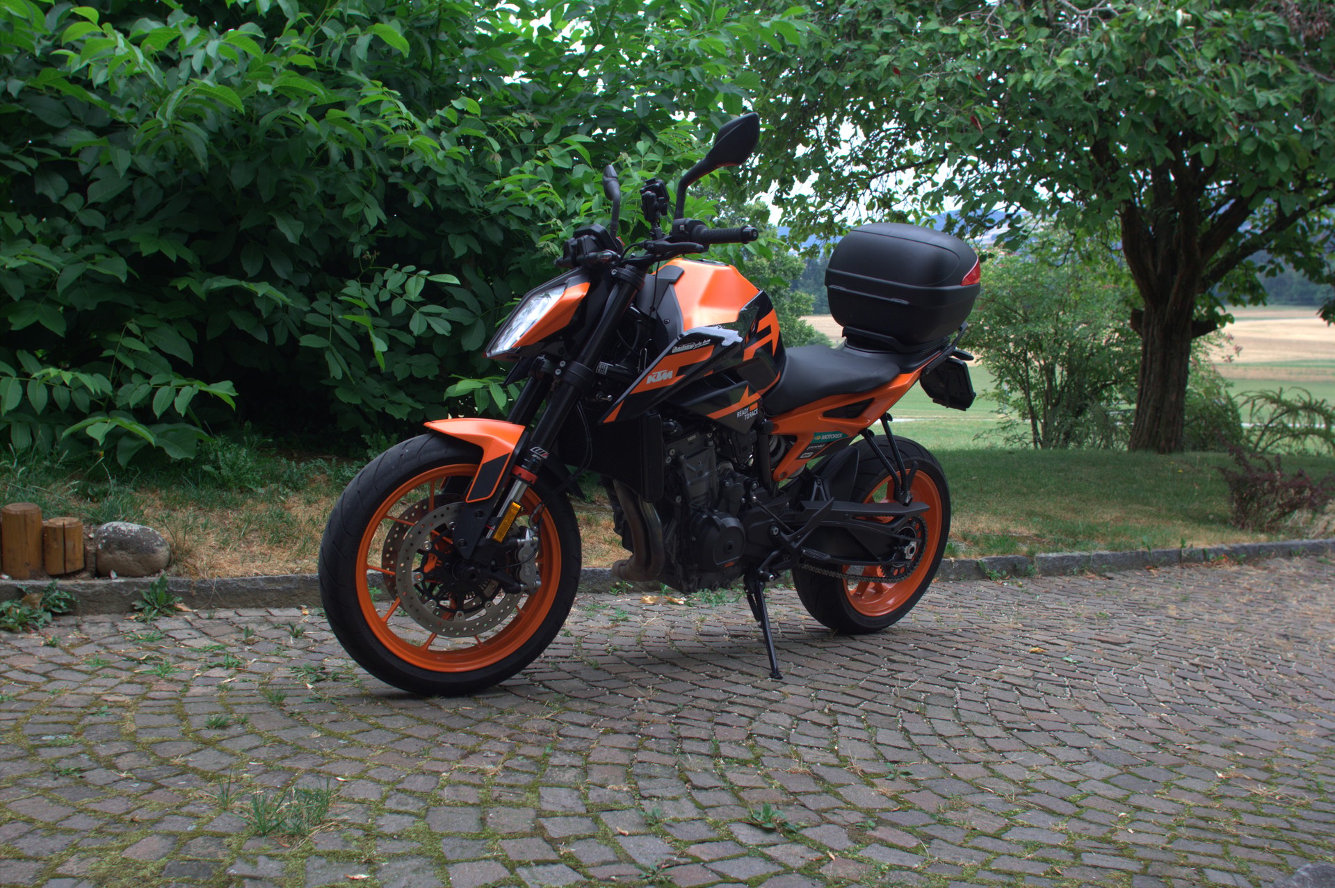 KTM 890 Duke GP-image-2