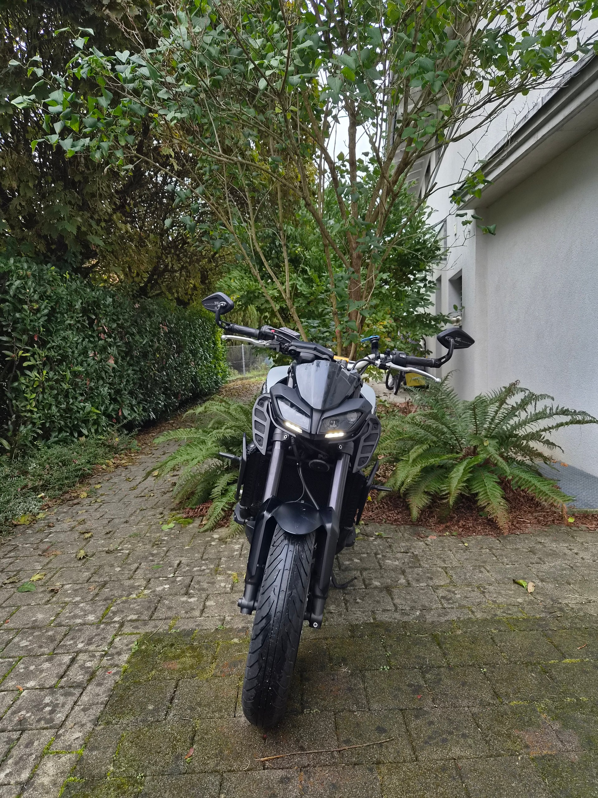 YAMAHA MT-09 ABS-image-3