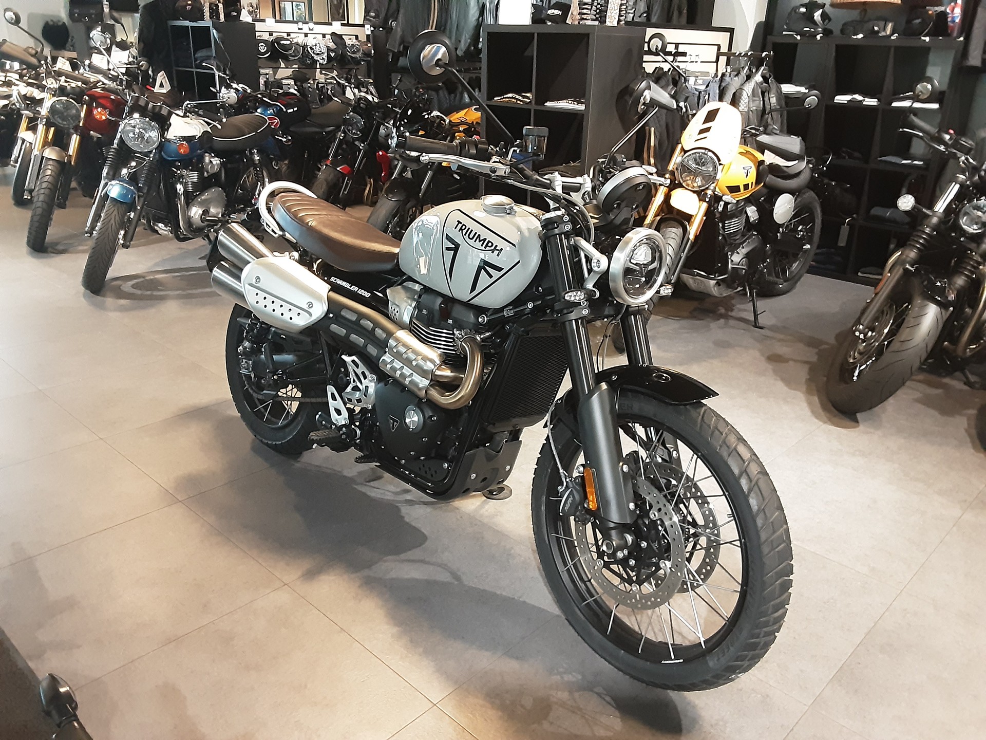 TRIUMPH Scrambler 1200 X-image-2