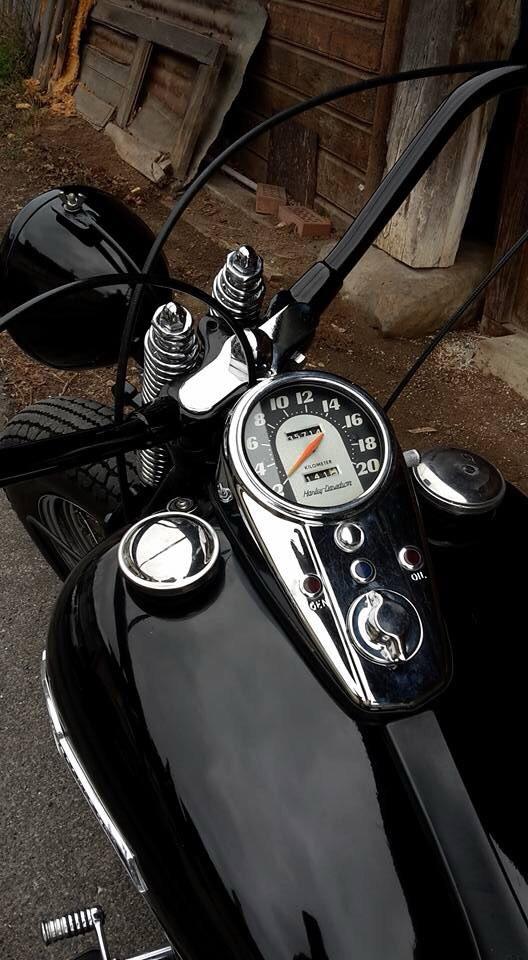 HARLEY-DAVIDSON Electra Glide PANHEAD-image-5