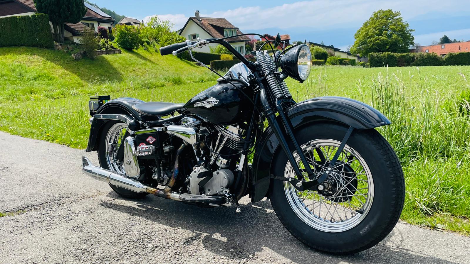 HARLEY-DAVIDSON Electra Glide PANHEAD-image-1