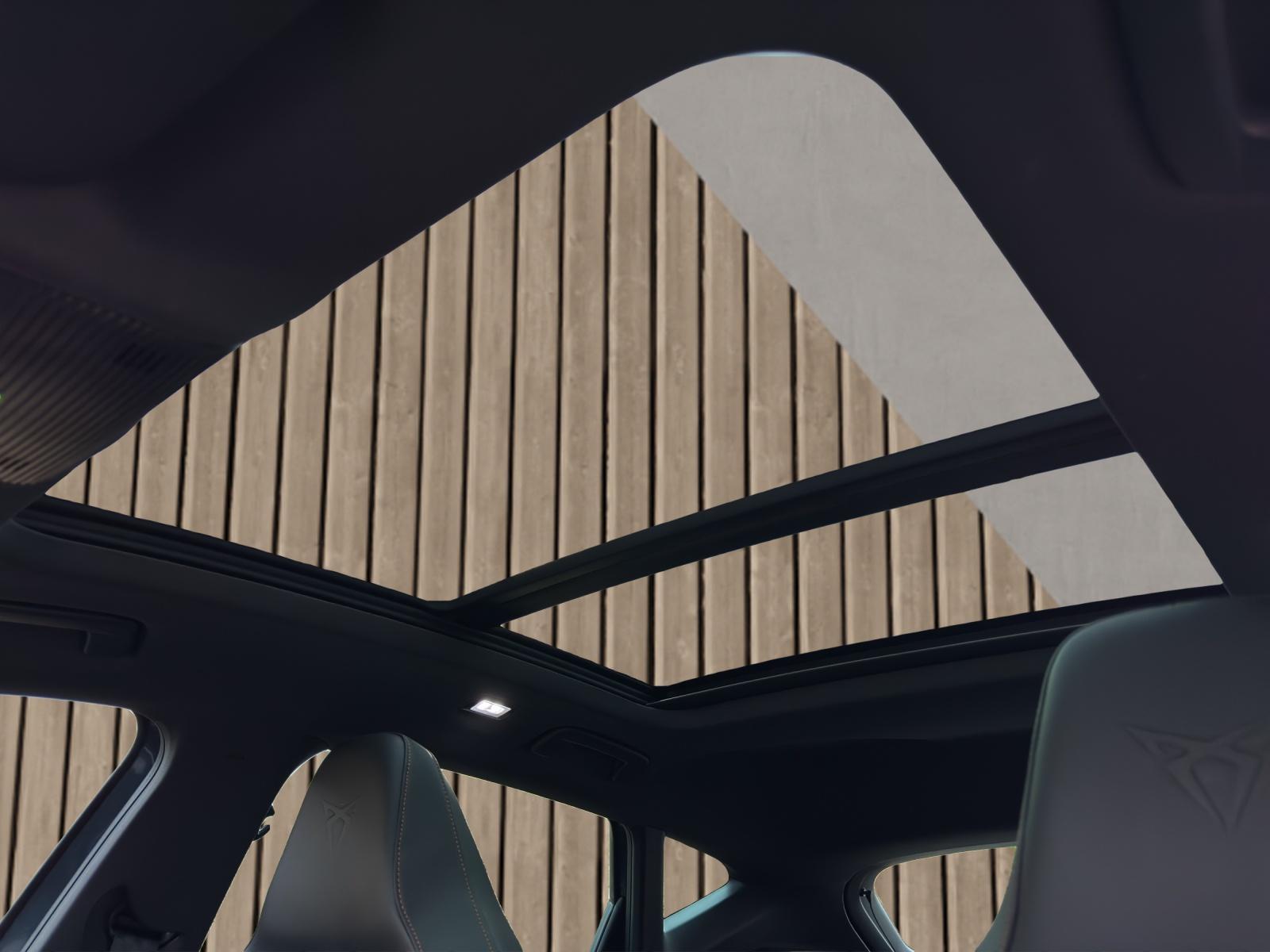 CUPRA Formentor 2.0 TSI VZ 4Drive DSG-image-10