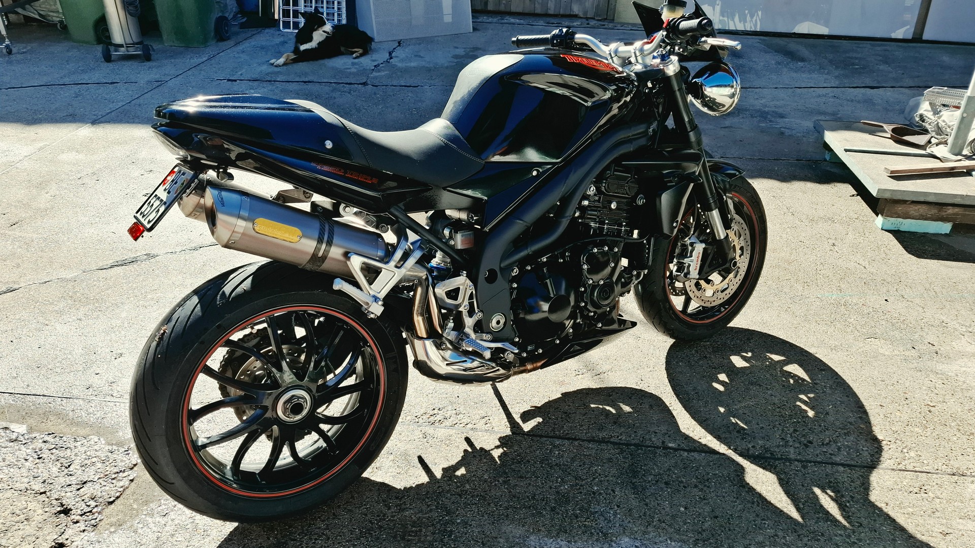 TRIUMPH Speed Triple 1050 SE-image-3