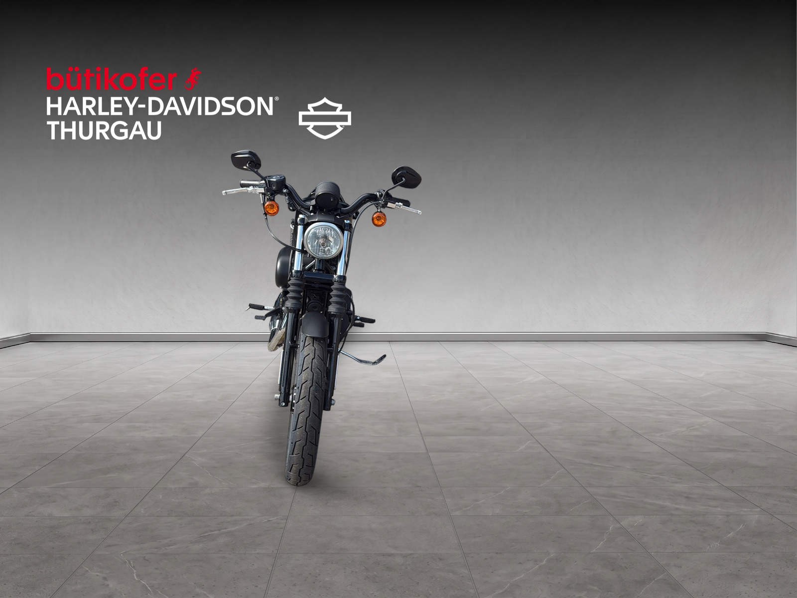 HARLEY-DAVIDSON XL 883 N Sportster Iron-image-6