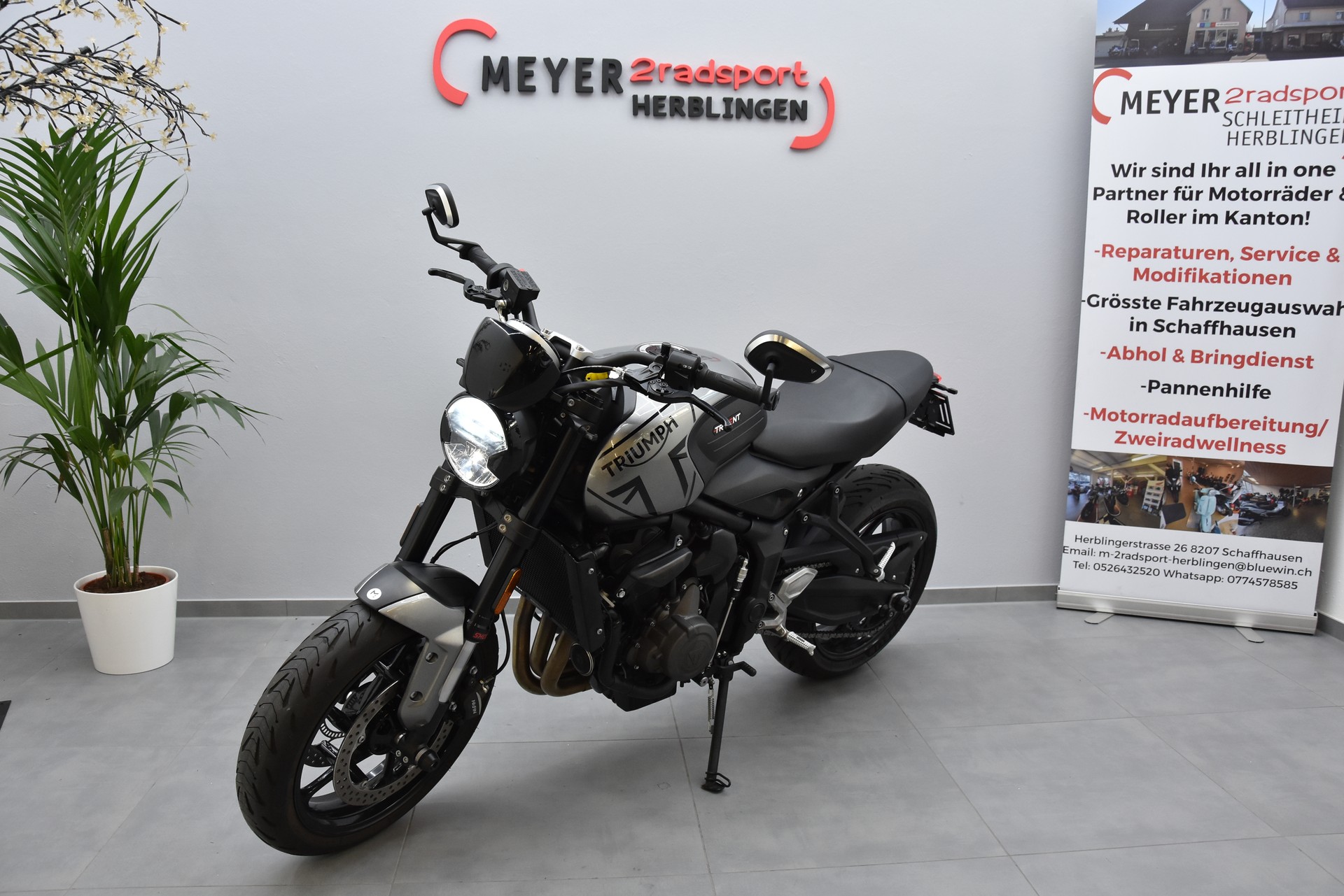 TRIUMPH Trident 660-image-3