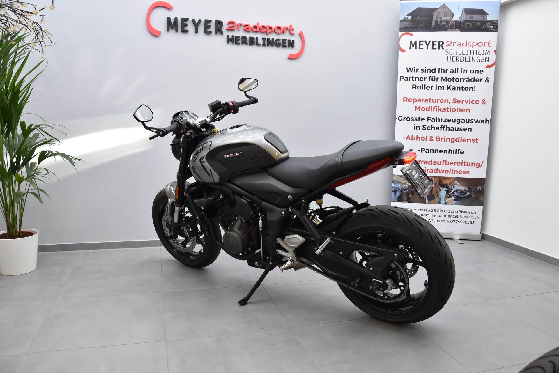 TRIUMPH Trident 660-image-7