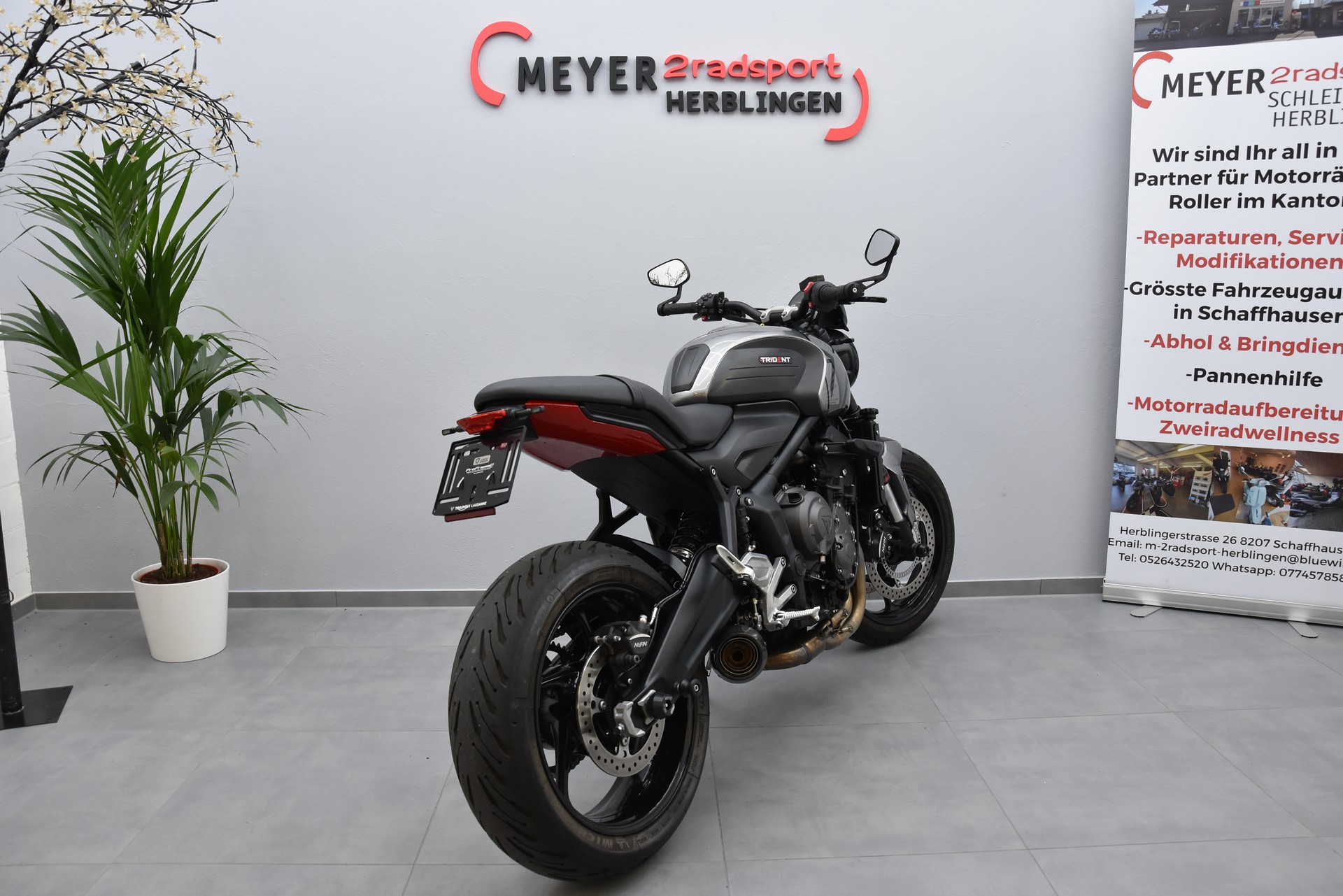 TRIUMPH Trident 660-image-13