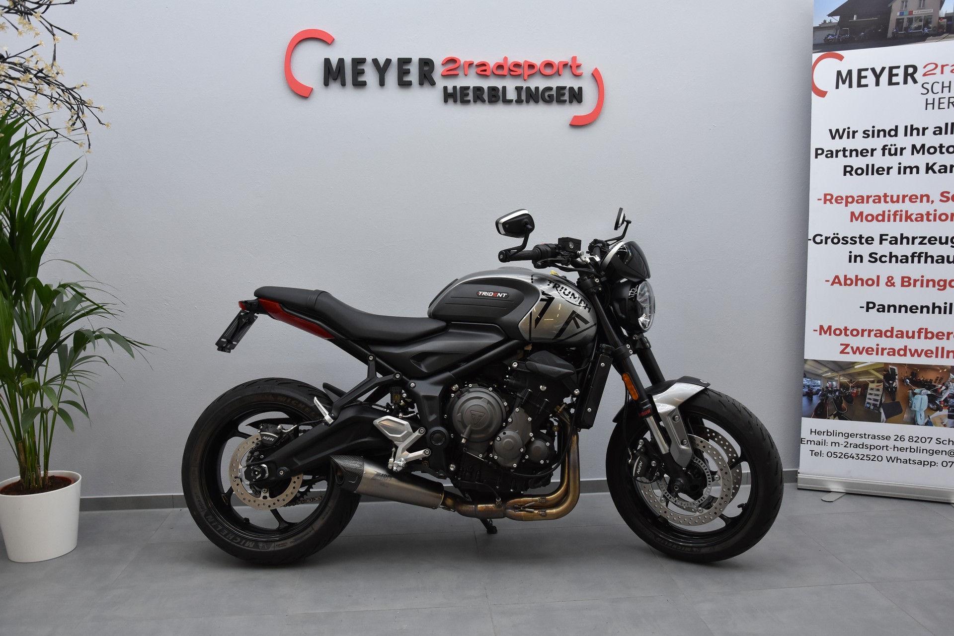 TRIUMPH Trident 660-image-1
