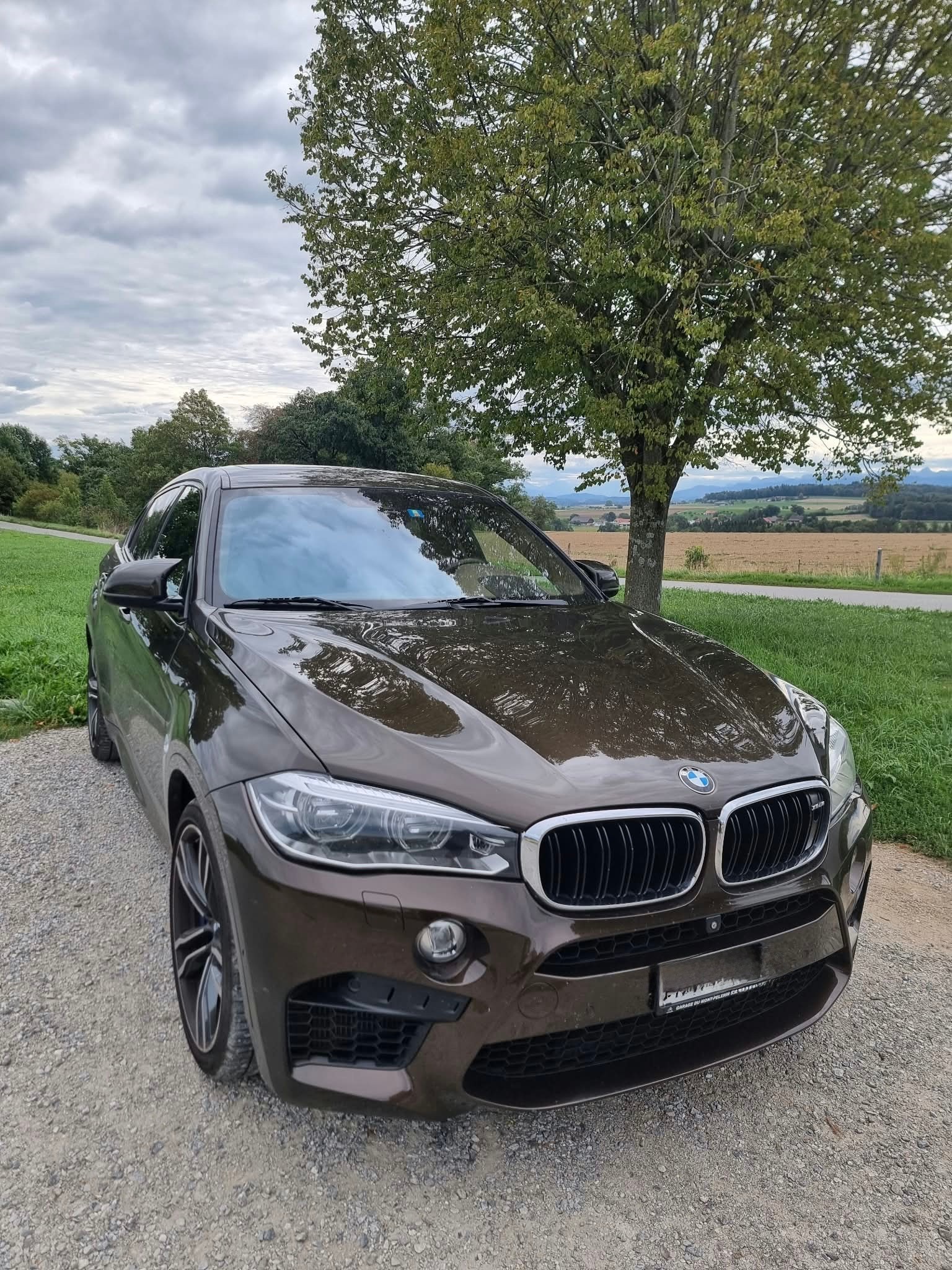 BMW X6M Steptronic