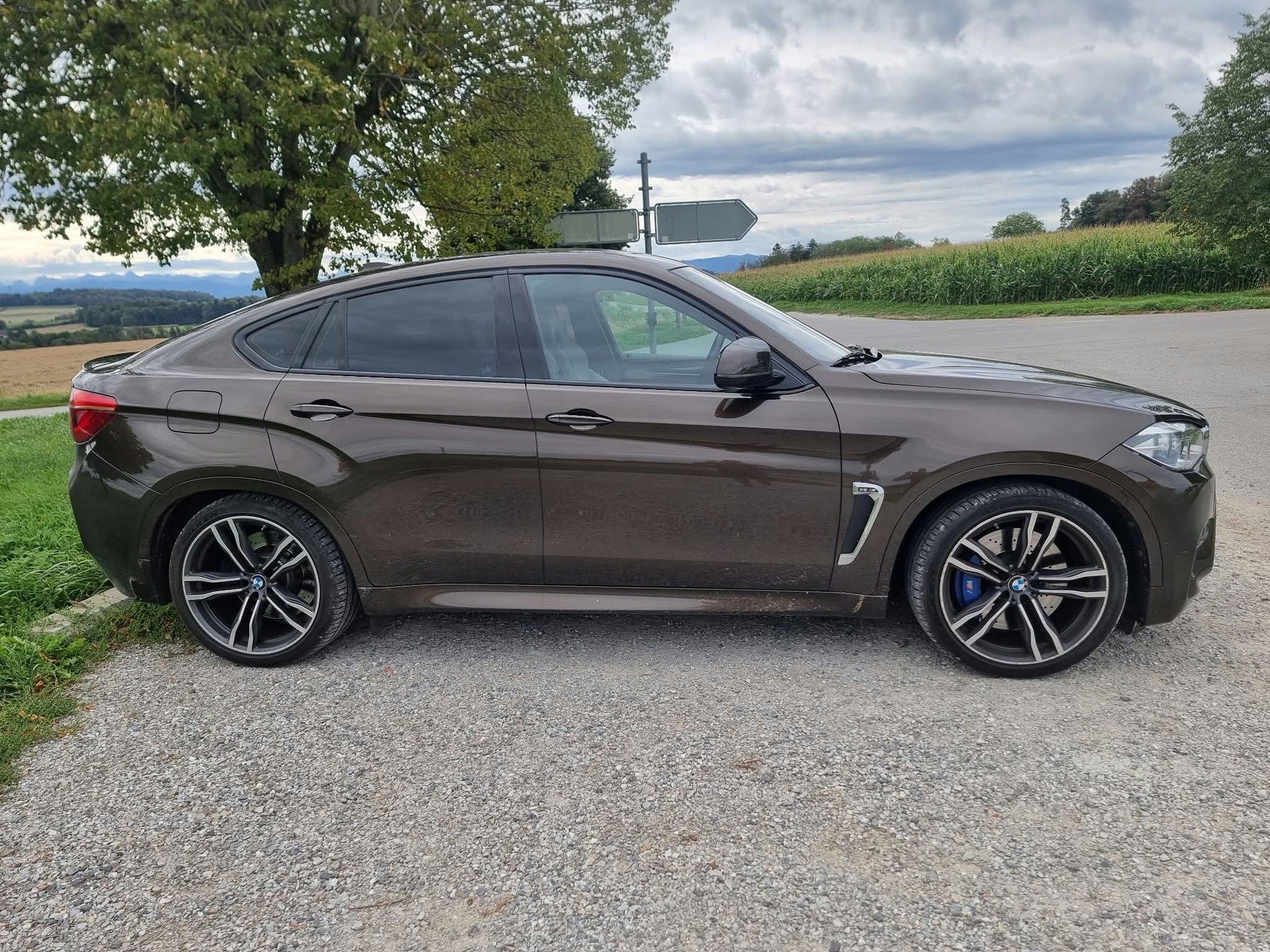 BMW X6M Steptronic-showroom-element-2