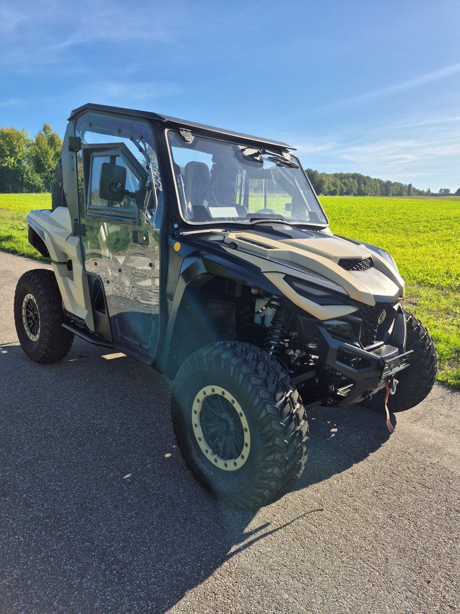YAMAHA Wolverine-image-2