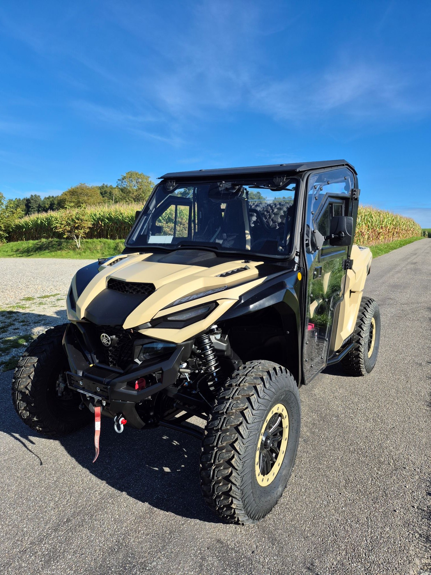 YAMAHA Wolverine-image-1
