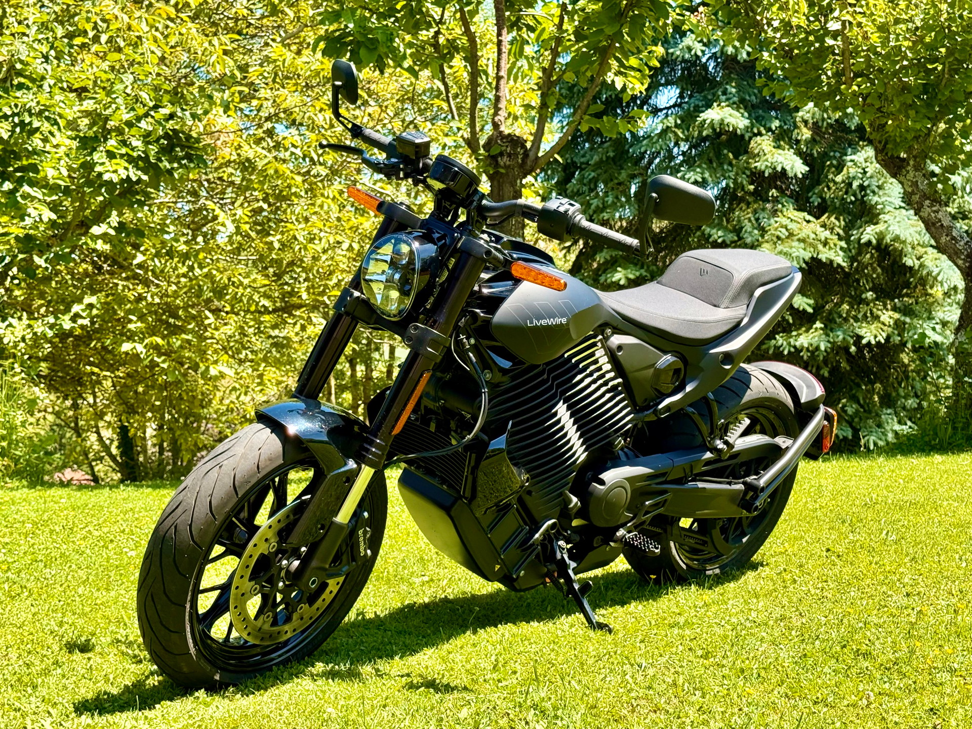 LIVEWIRE S2 Alpinista Asphalt Black matt-image-1