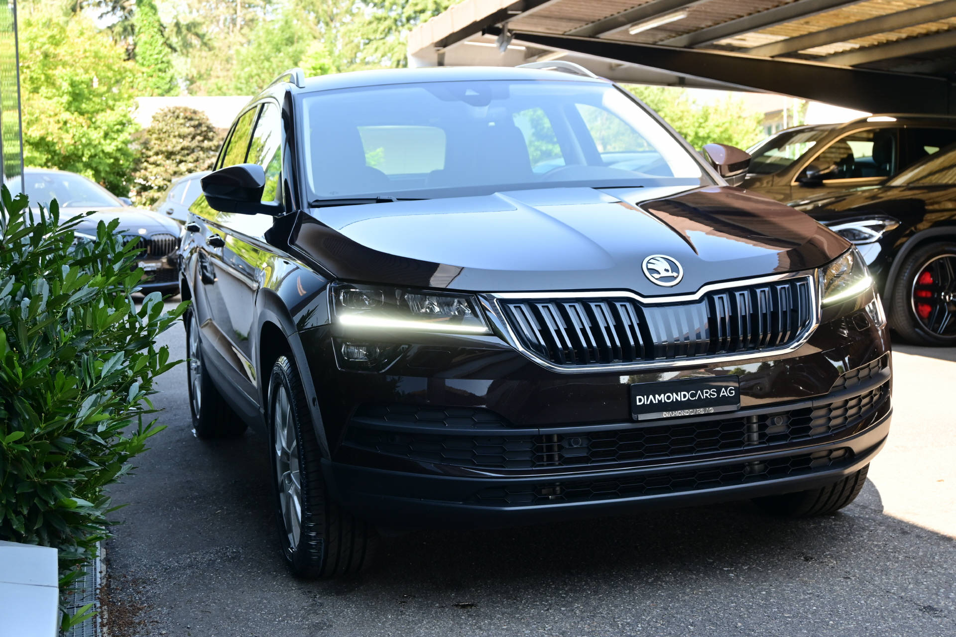 SKODA Karoq 2.0 TDI Style 4x4 DSG-showroom-element-2