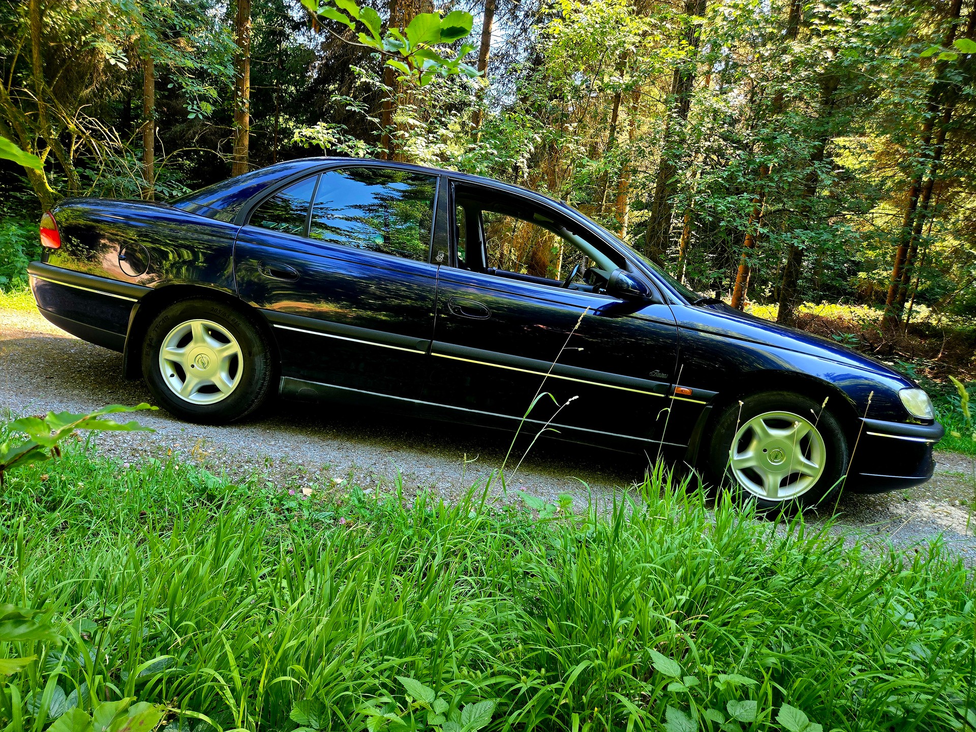 OPEL Omega 2.5i V6 Business-image-10