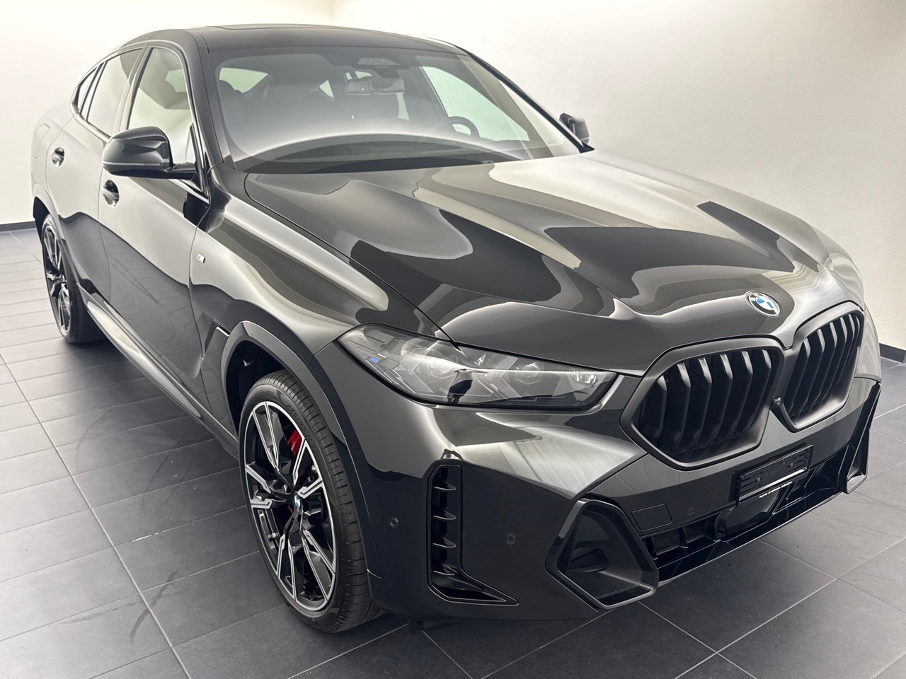 BMW X6 xDrive 48V 40d M SportPro-showroom-element-3